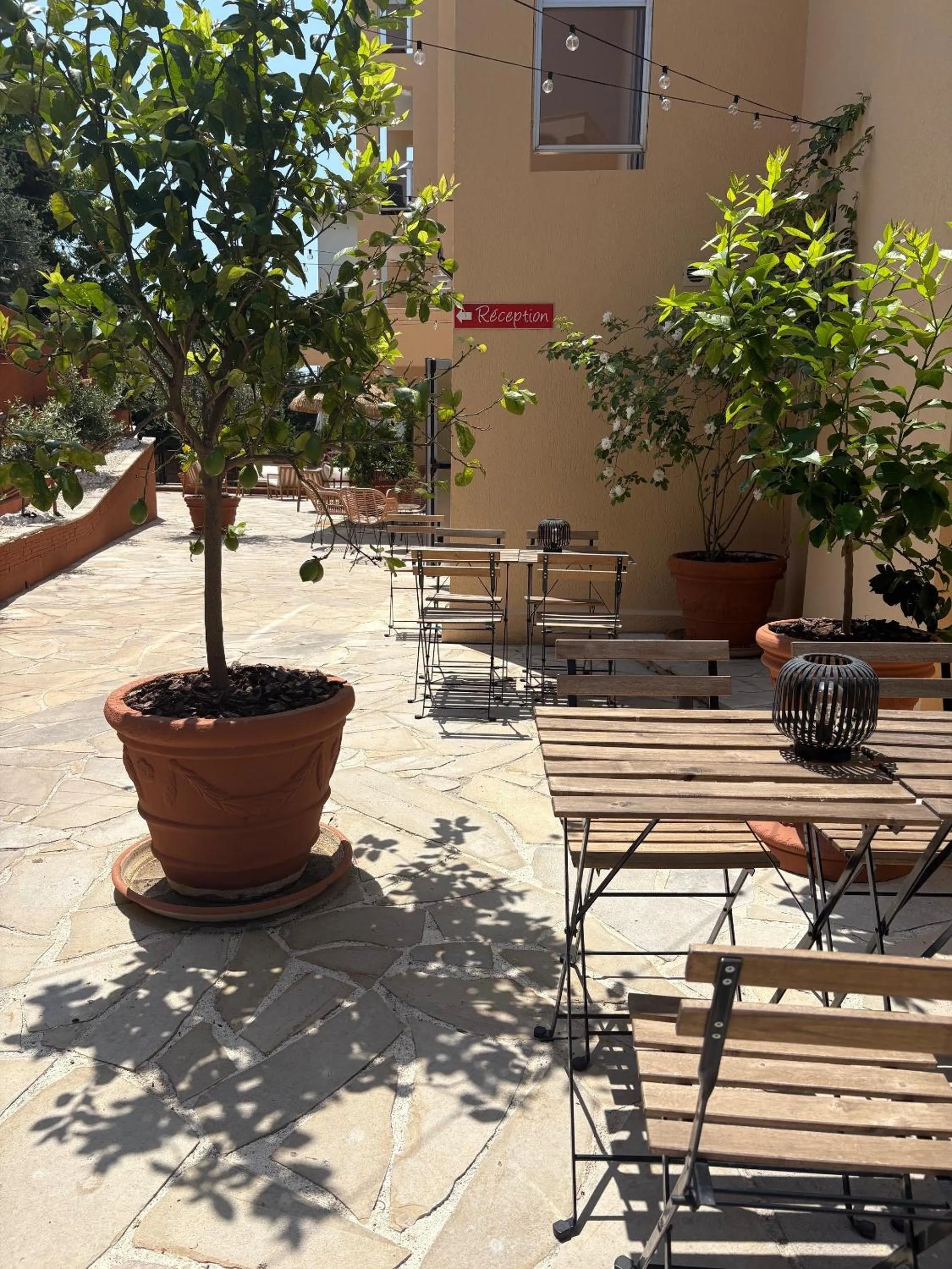 Patio in Hôtel Gallia Cannes