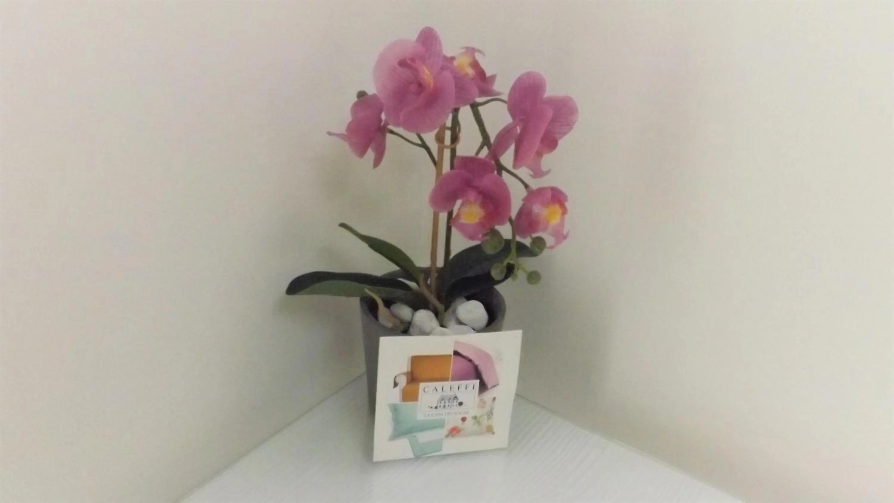 Bed in B&B Residenza Aragonese