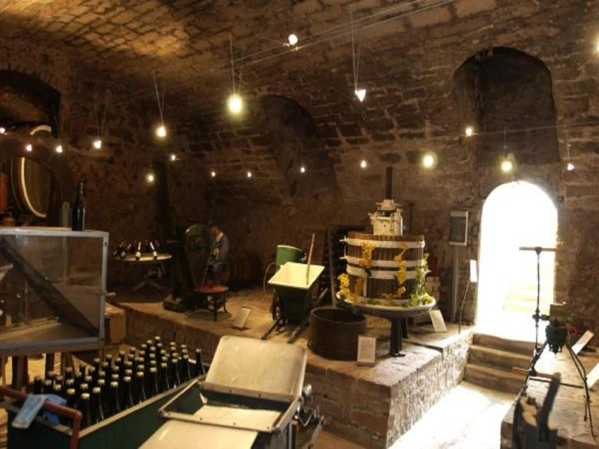 Activities in Hotel Goldbächel