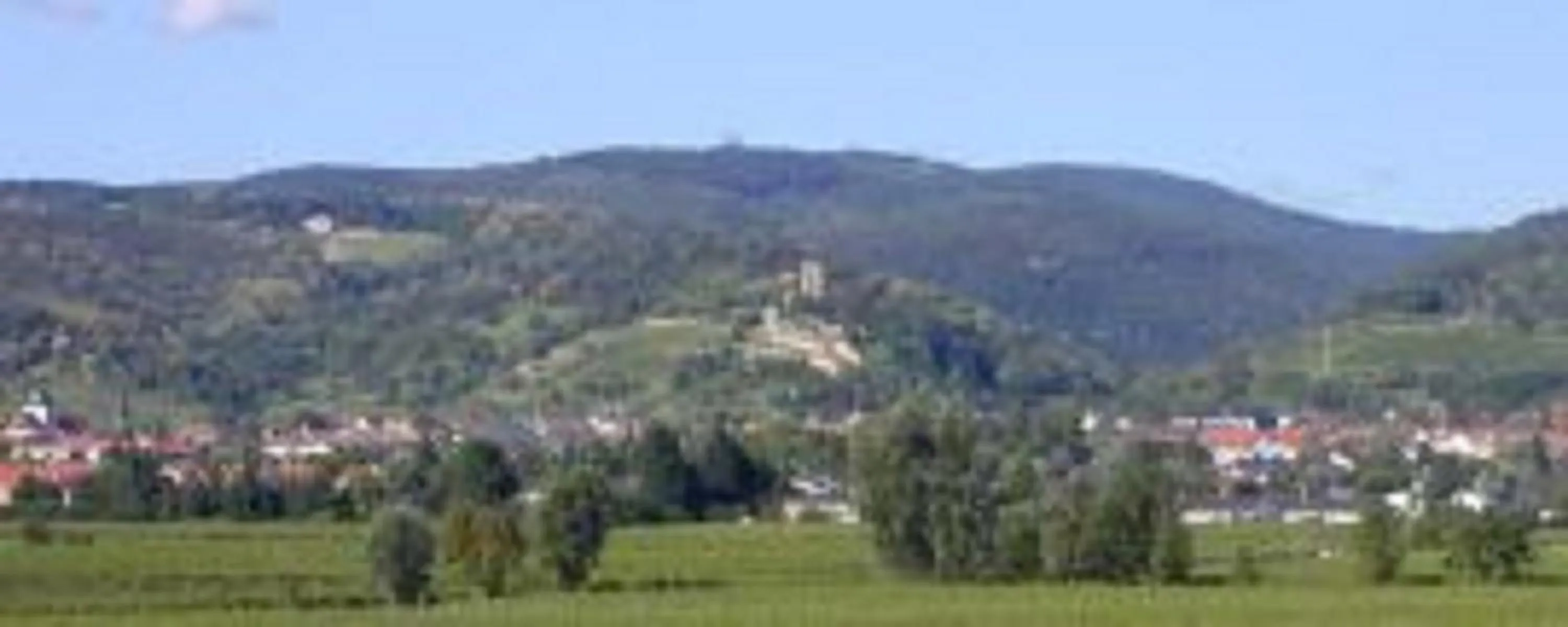 Natural landscape in Hotel Goldbächel