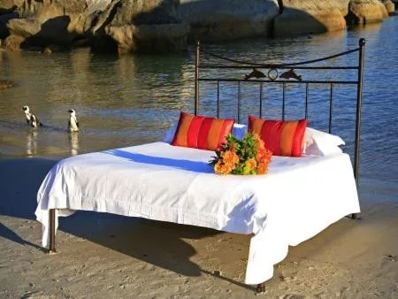 Bed in Boulders Beach Hotel, Cafe and Curio shop