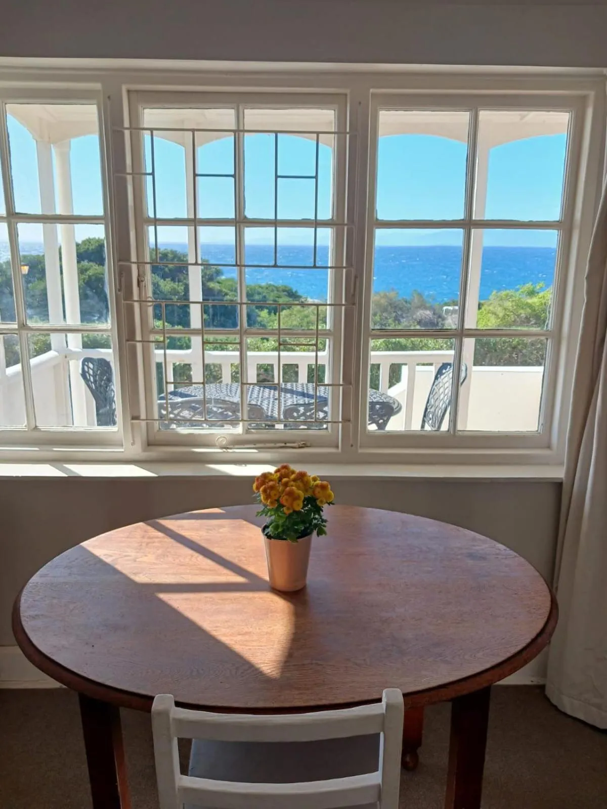 Natural landscape in Boulders Beach Hotel, Cafe and Curio shop