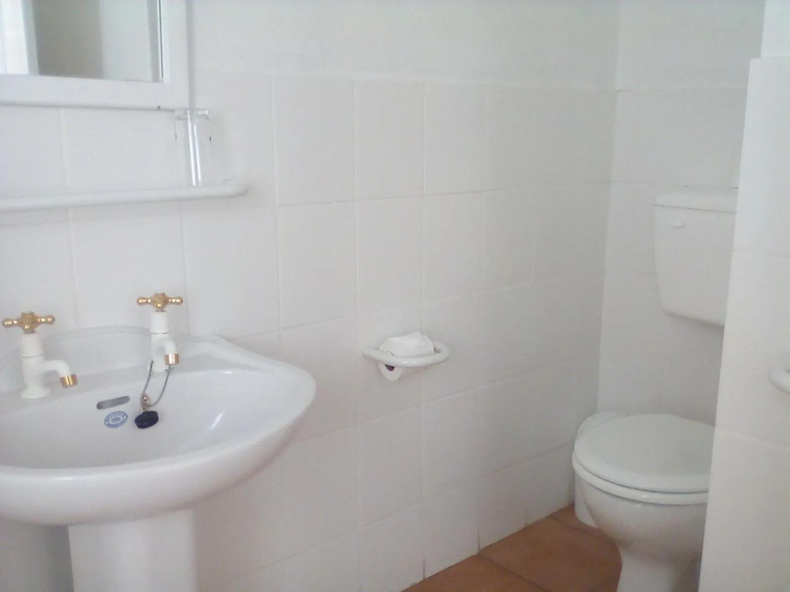 Toilet in Boulders Beach Hotel, Cafe and Curio shop