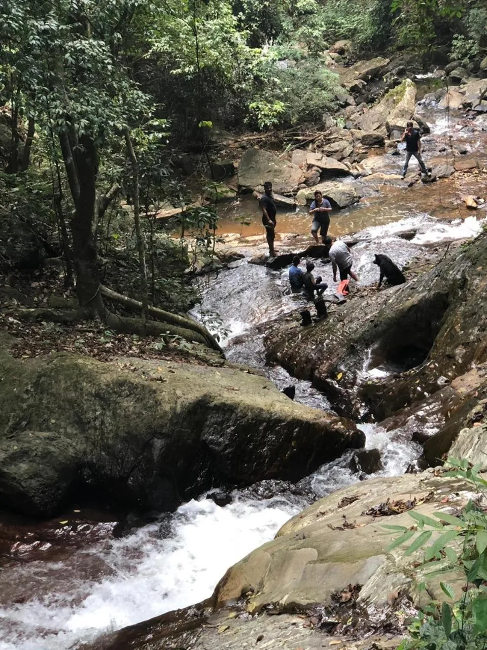 Natural landscape in Three Hills Resort Coorg