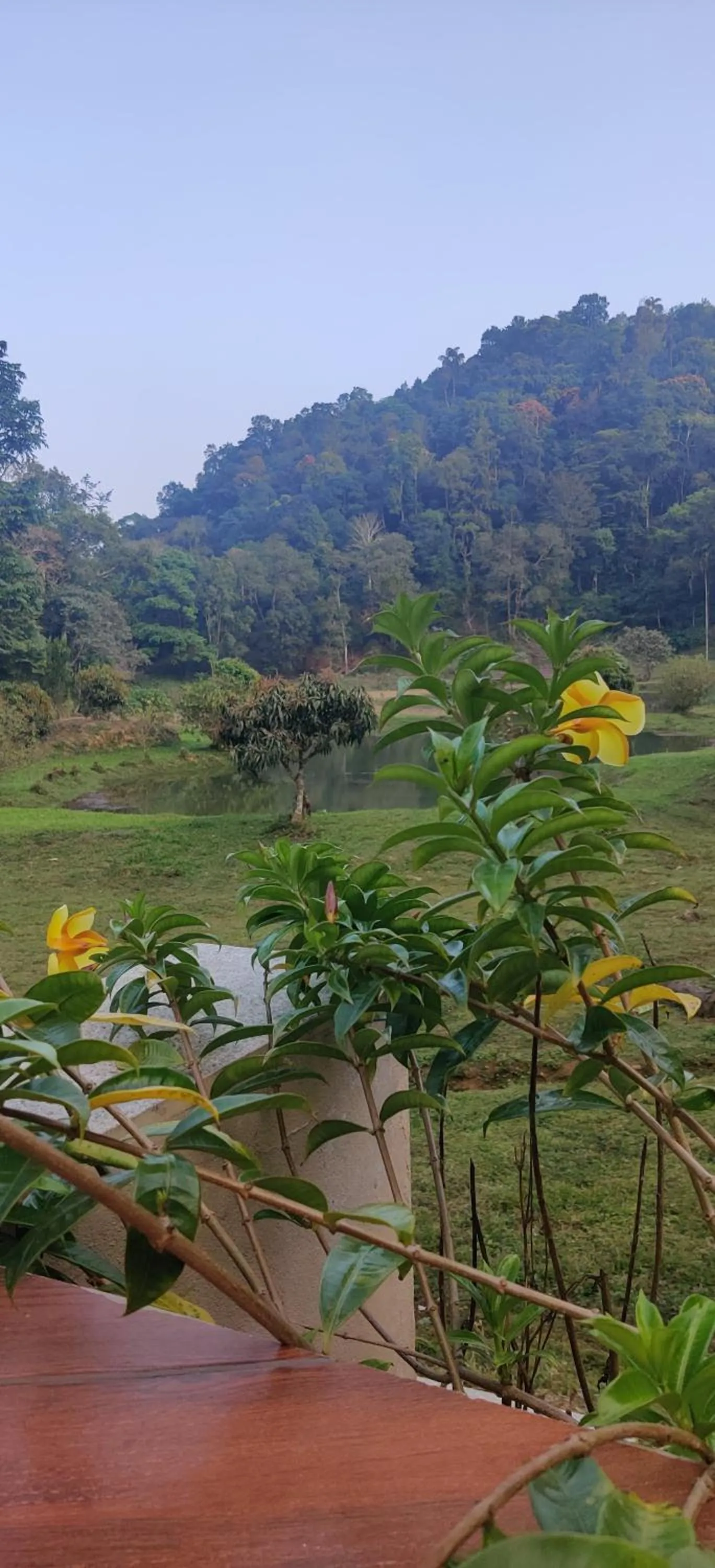 Natural landscape in Three Hills Resort Coorg