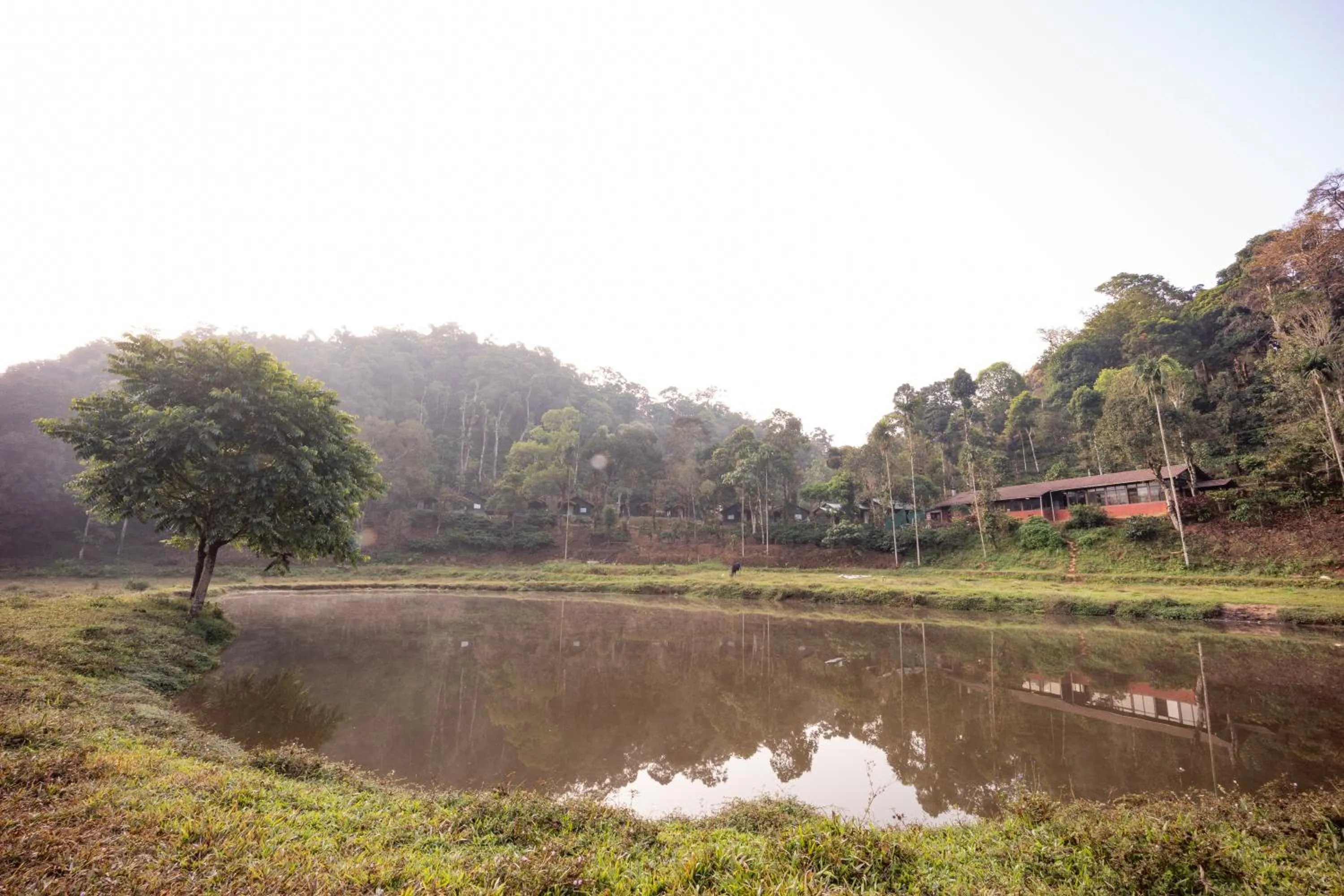 Natural landscape in Three Hills Resort Coorg