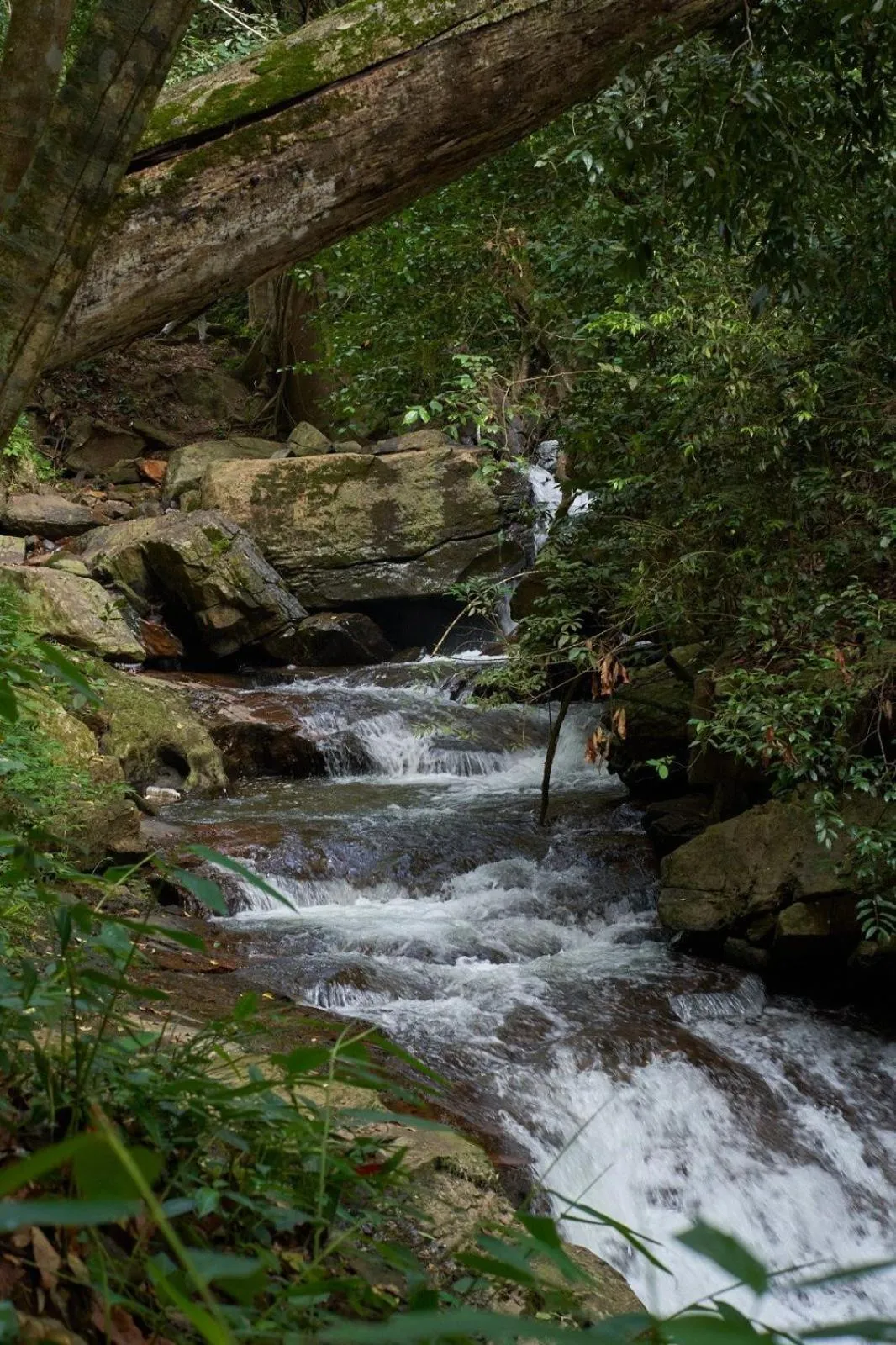 Property building in Three Hills Resort Coorg