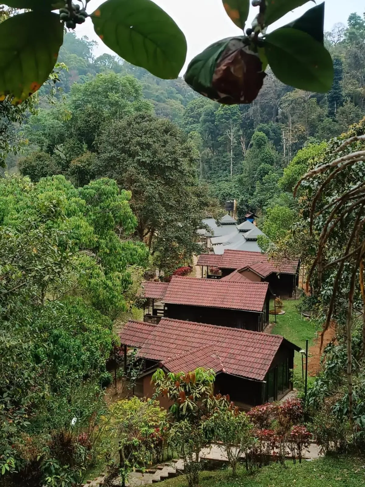 Three Hills Resort Coorg