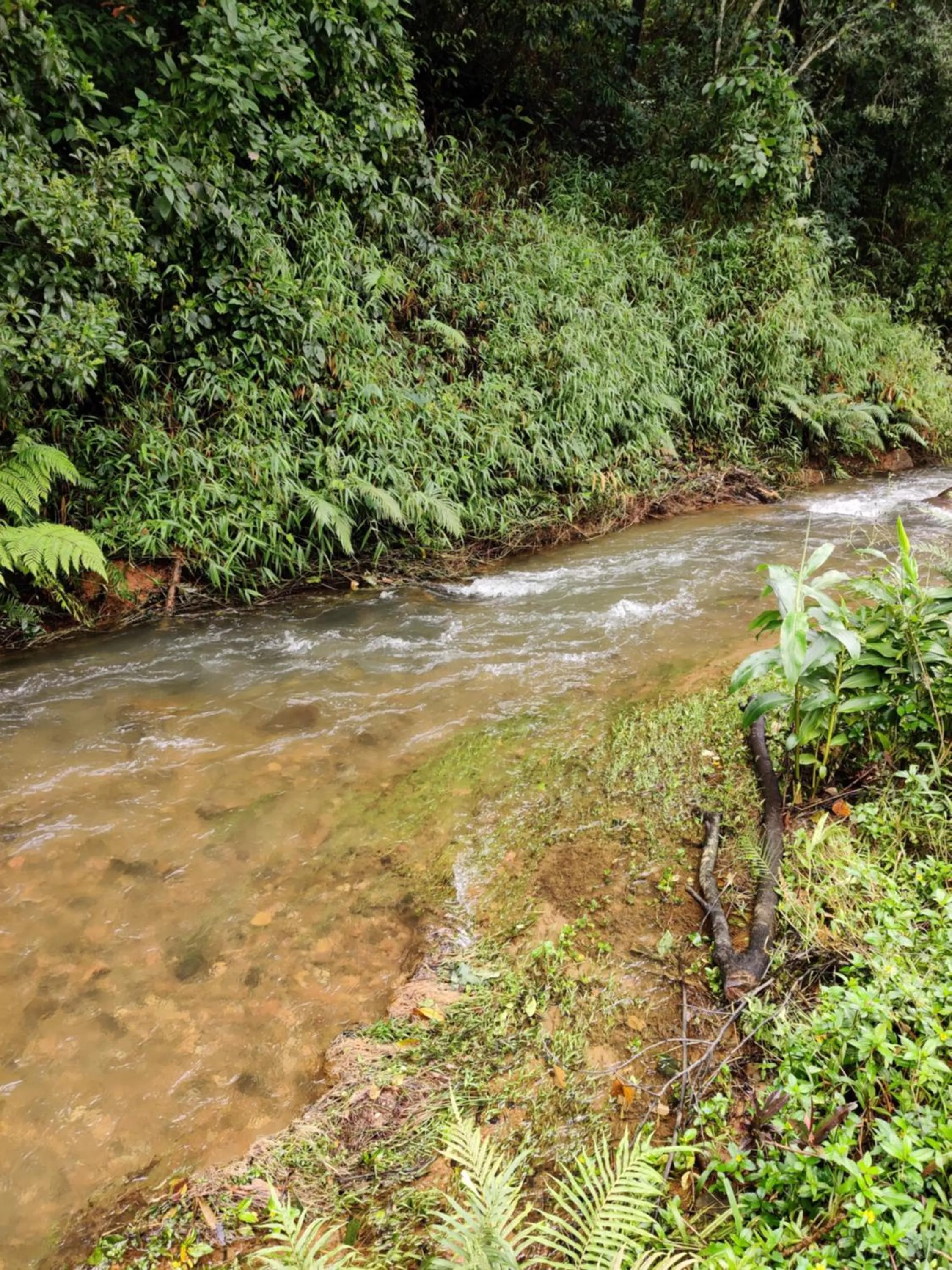 Natural landscape in Three Hills Resort Coorg