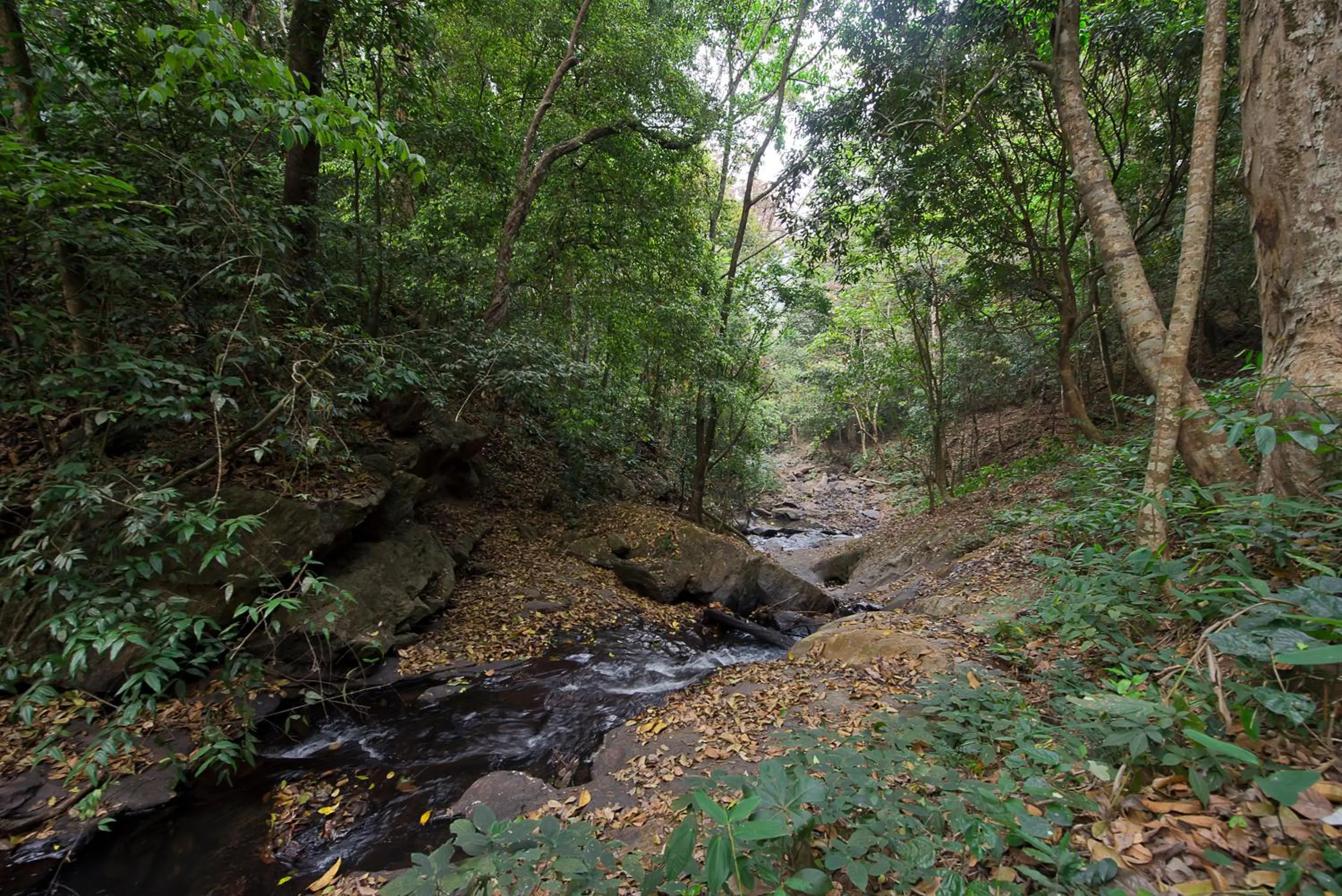Natural landscape in Three Hills Resort Coorg