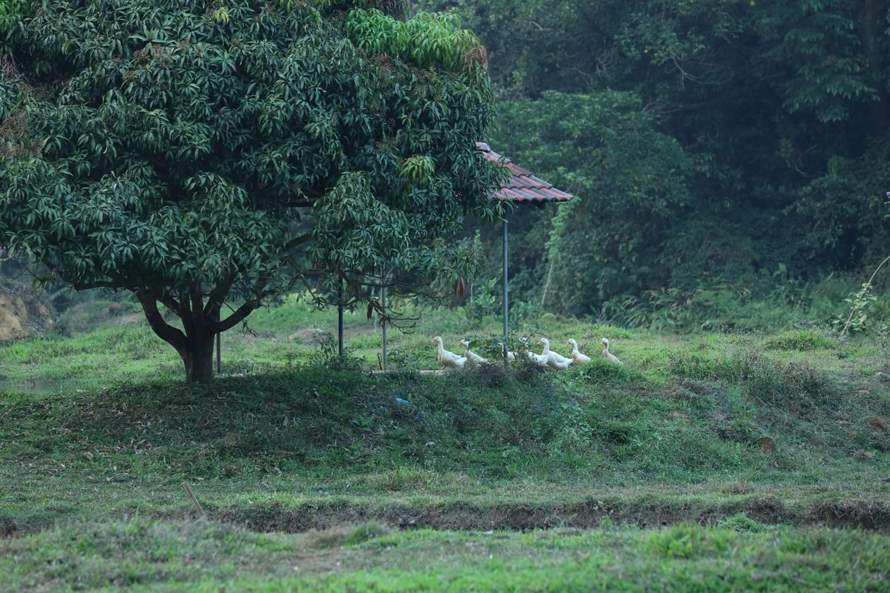 Natural landscape in Three Hills Resort Coorg