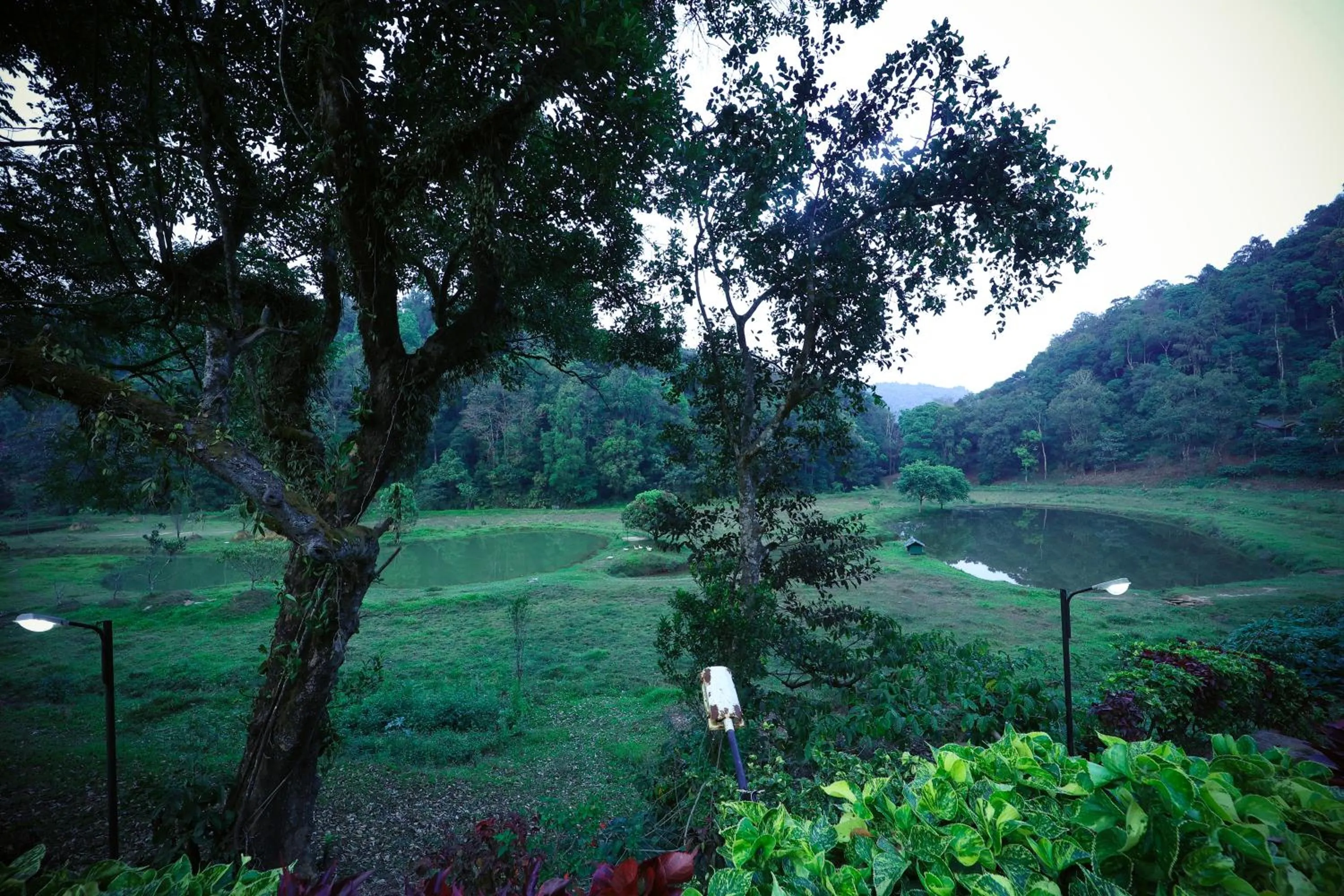 Natural landscape in Three Hills Resort Coorg