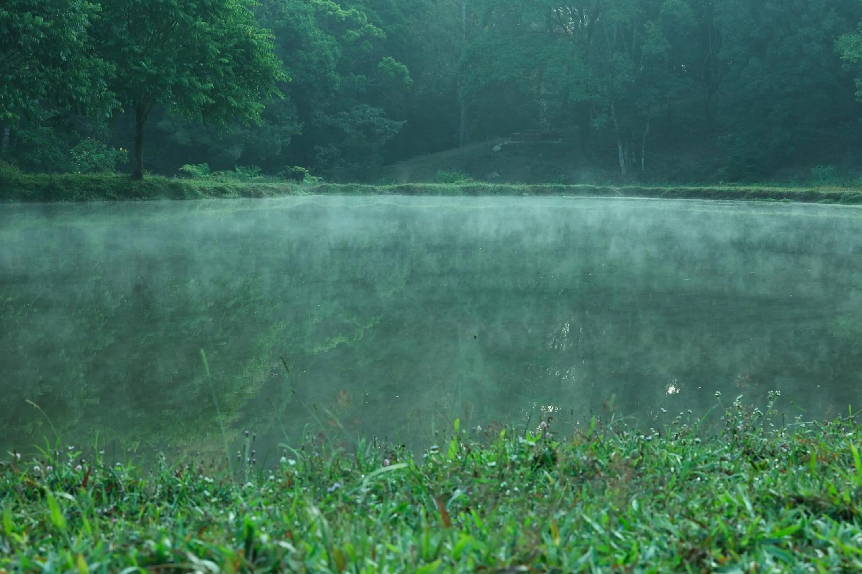 Natural landscape in Three Hills Resort Coorg