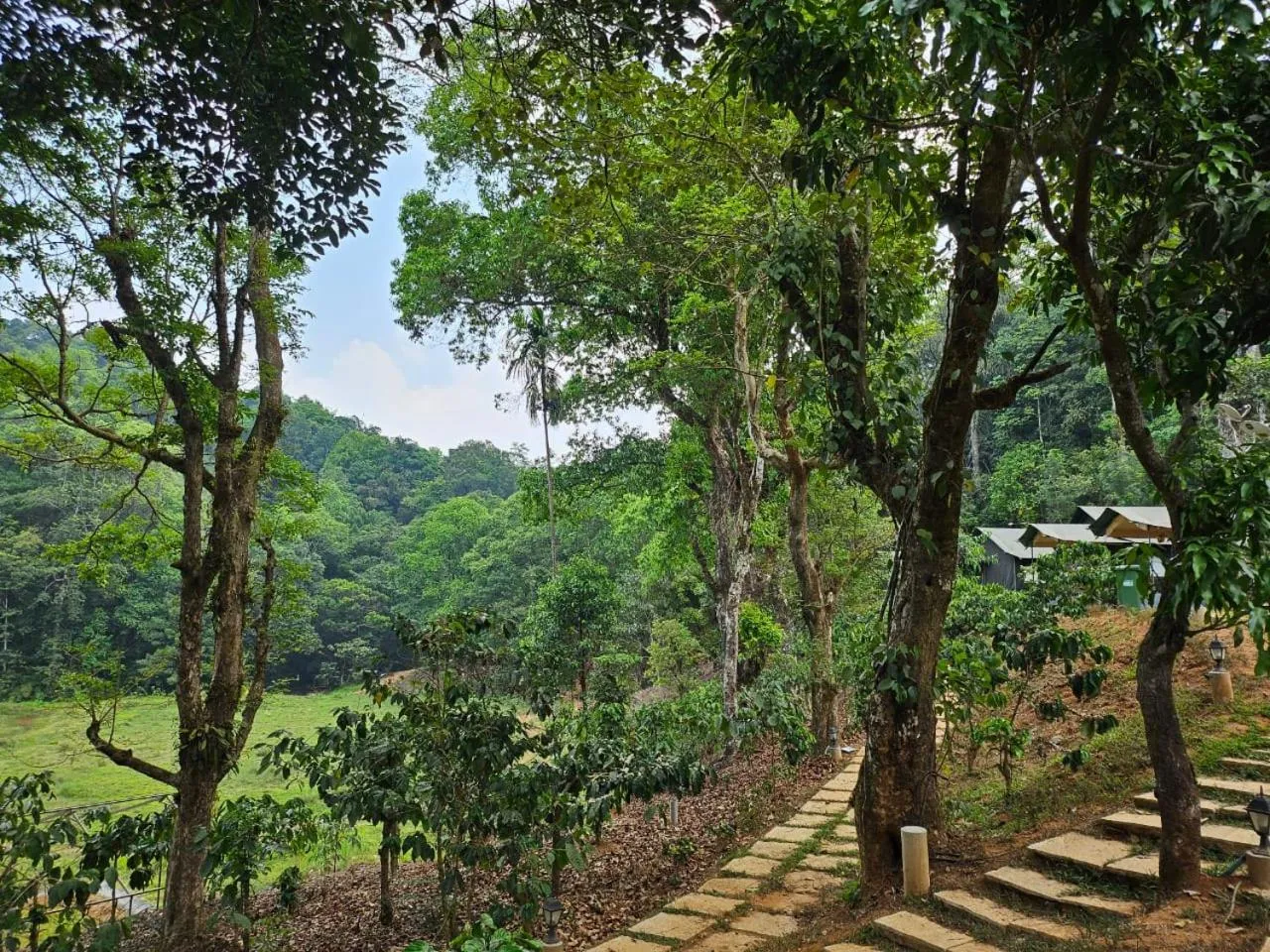 Property building in Three Hills Resort Coorg