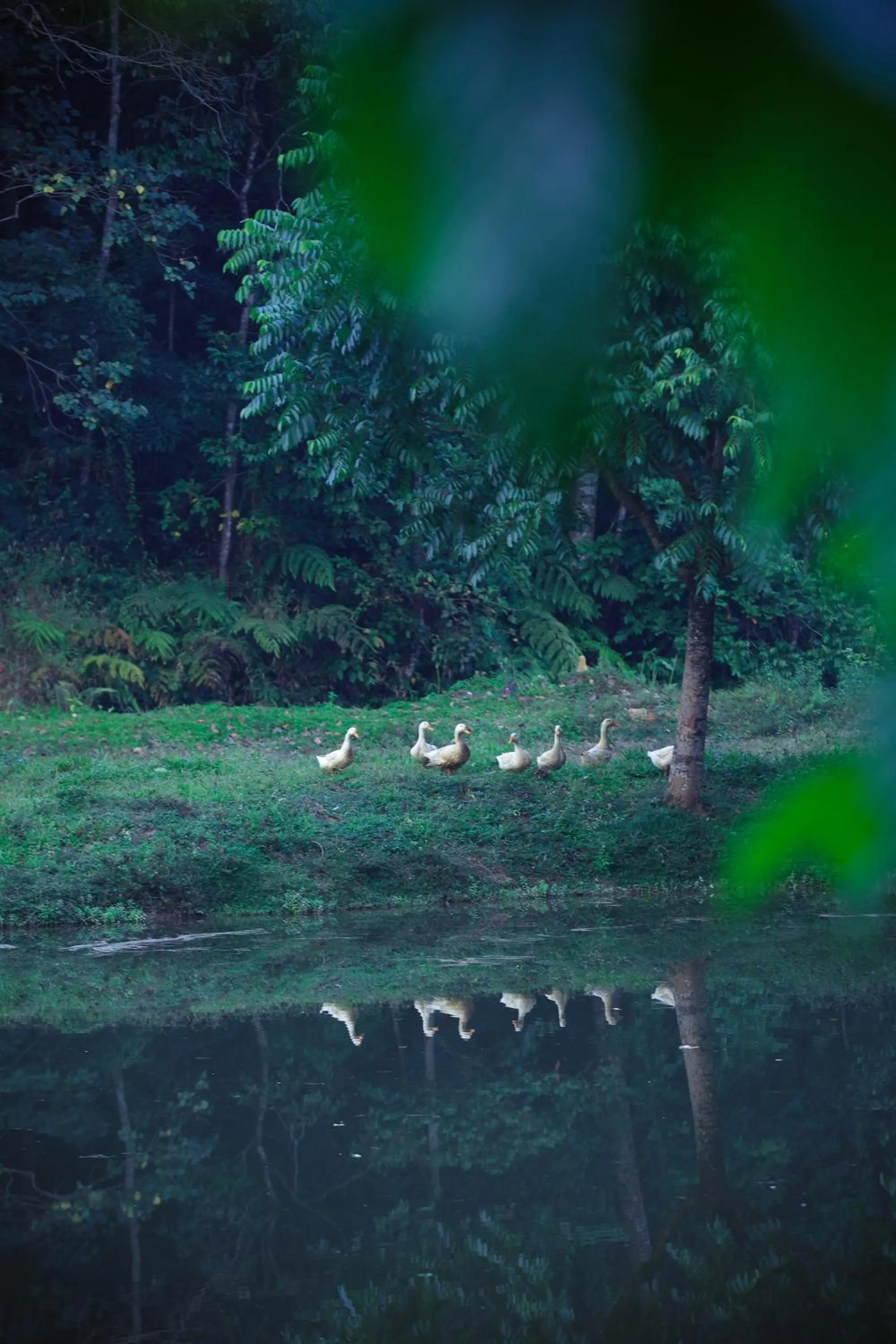 Natural landscape in Three Hills Resort Coorg