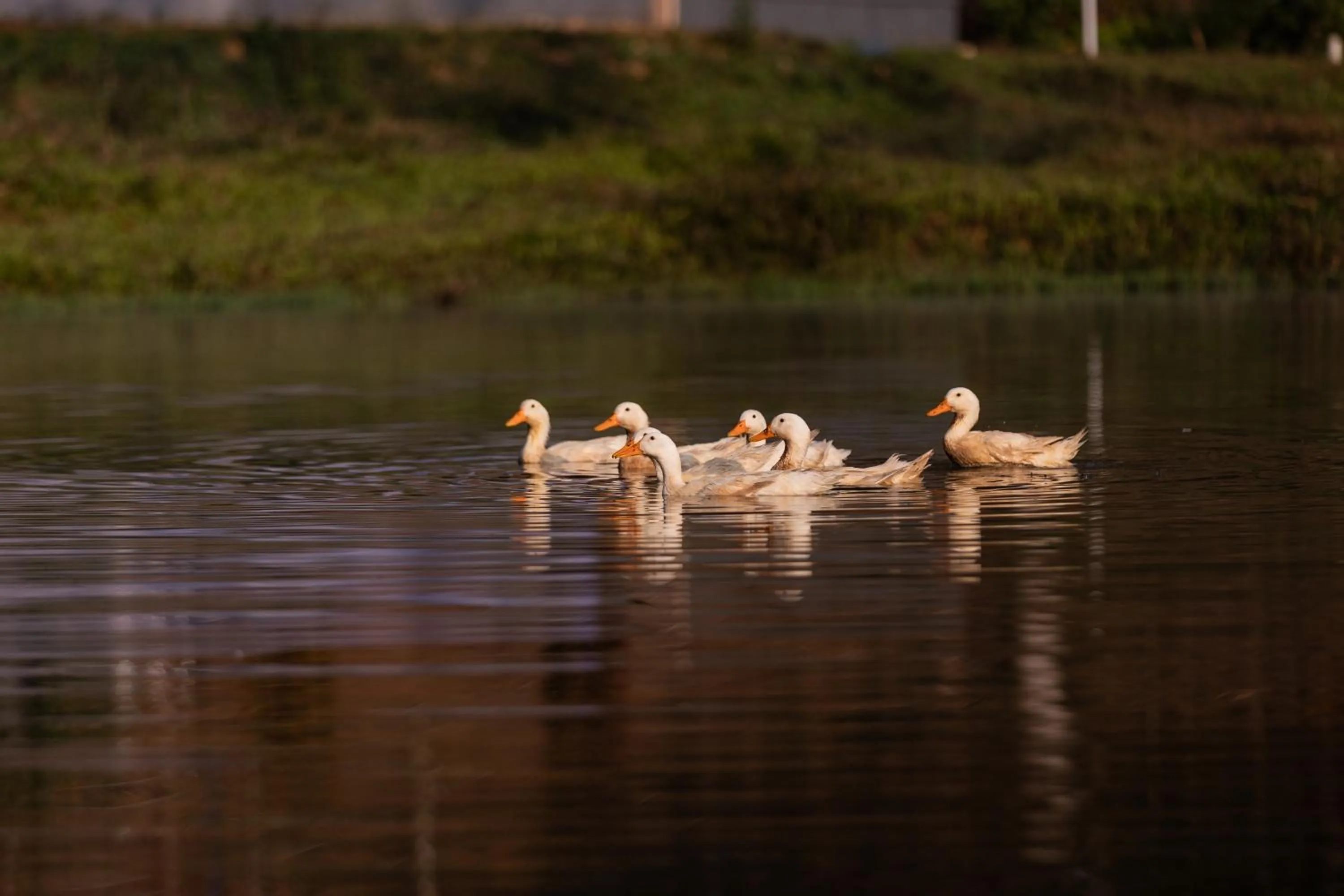 Natural landscape in Three Hills Resort Coorg