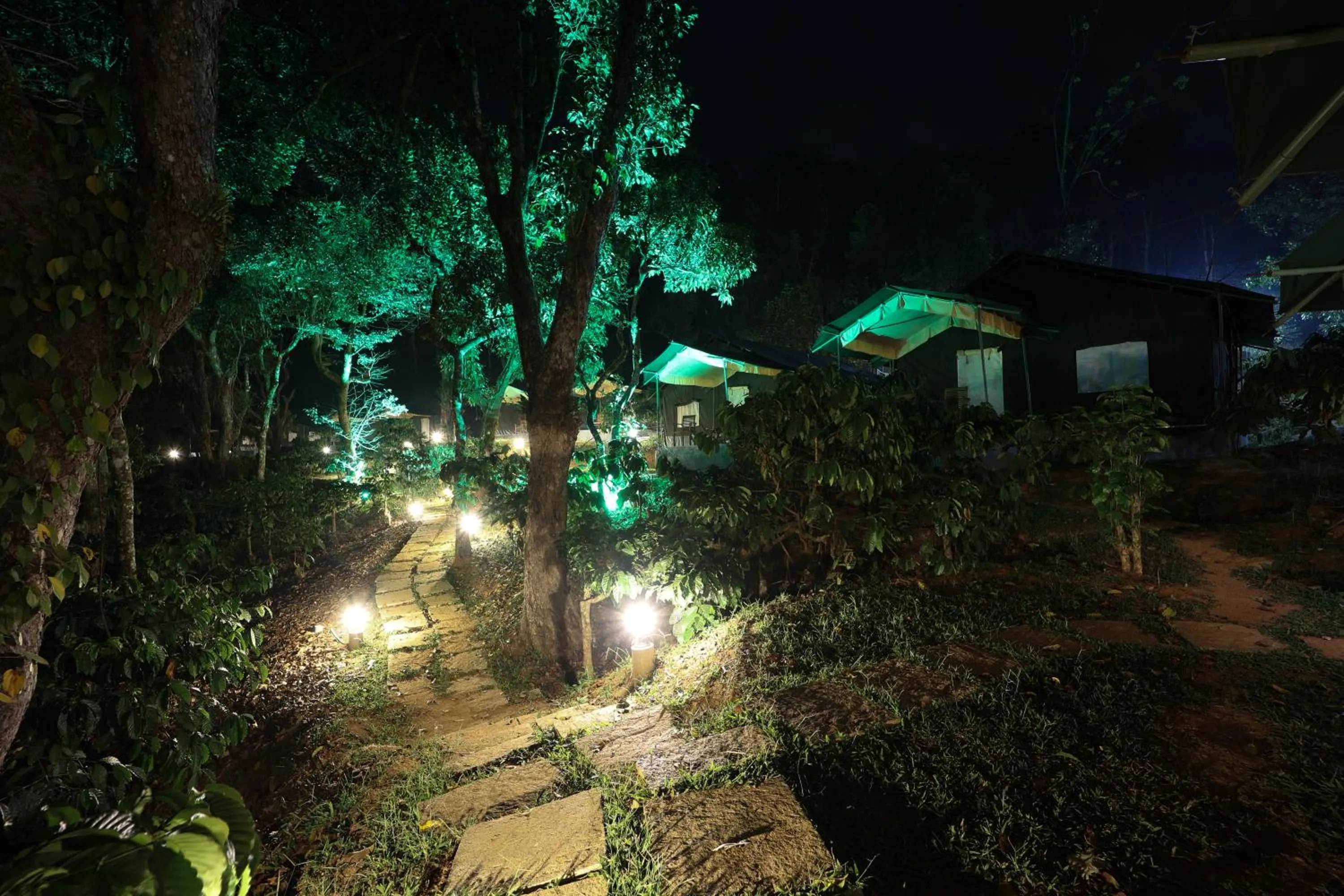 Night in Three Hills Resort Coorg