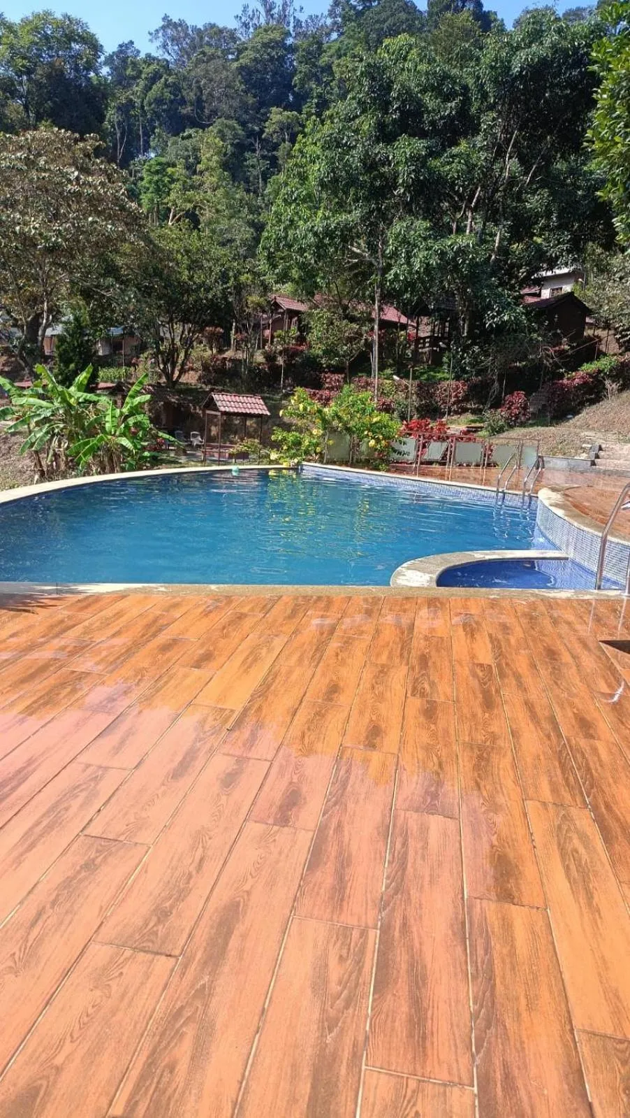 Pool view in Three Hills Resort Coorg