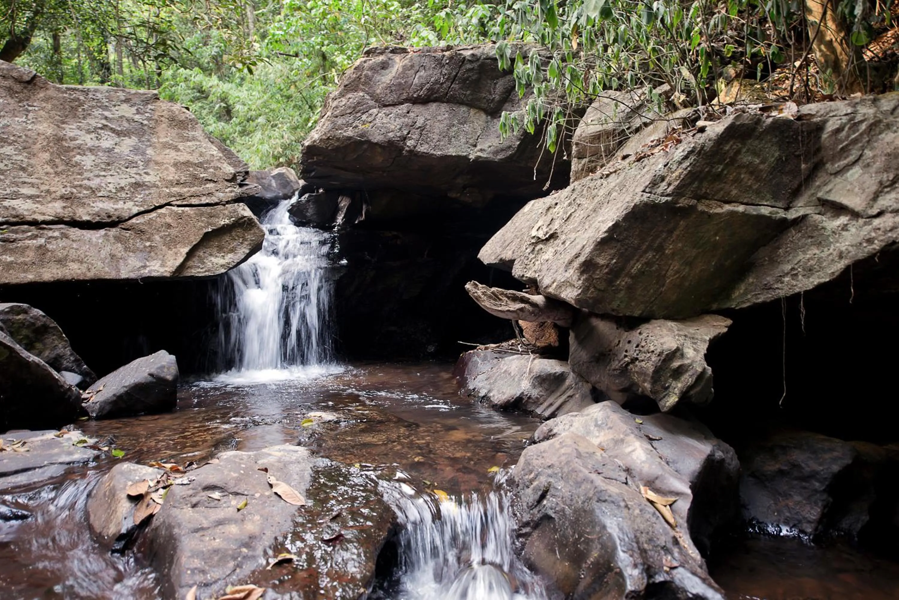 Natural landscape in Three Hills Resort Coorg