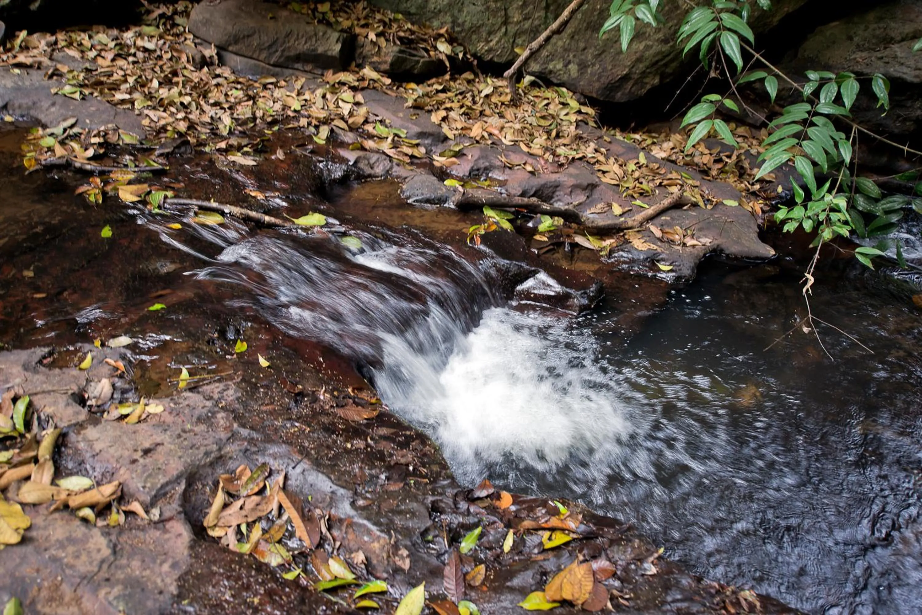 Natural landscape in Three Hills Resort Coorg