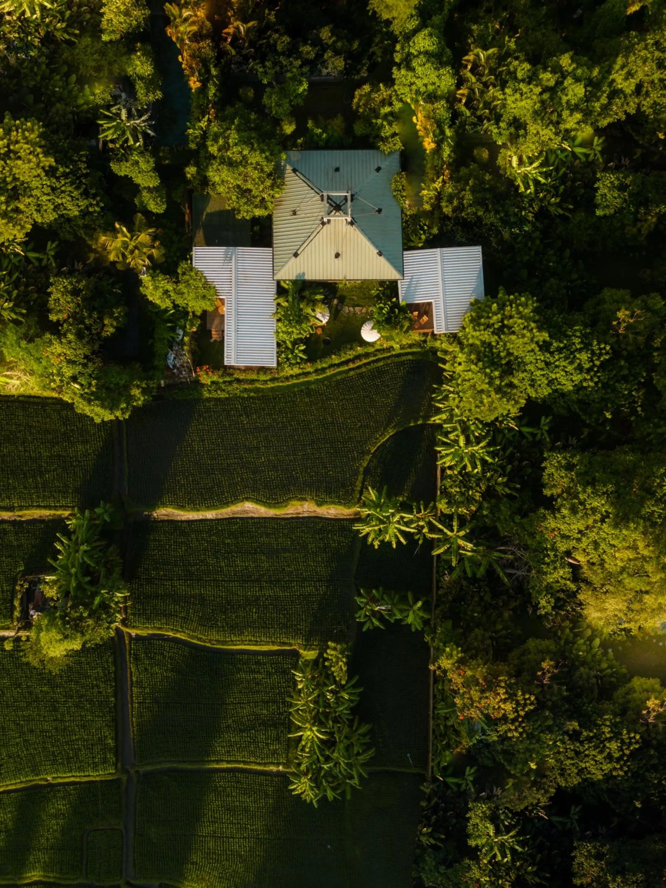 Bird's eye view in Grün Ubud