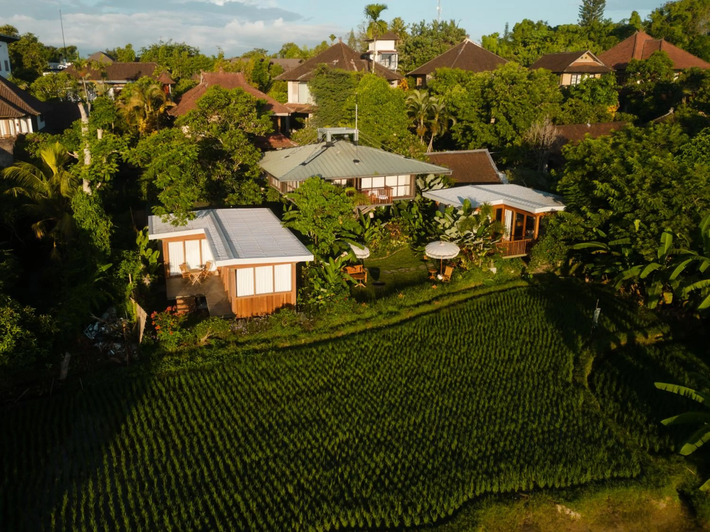 Bird's eye view in Grün Ubud