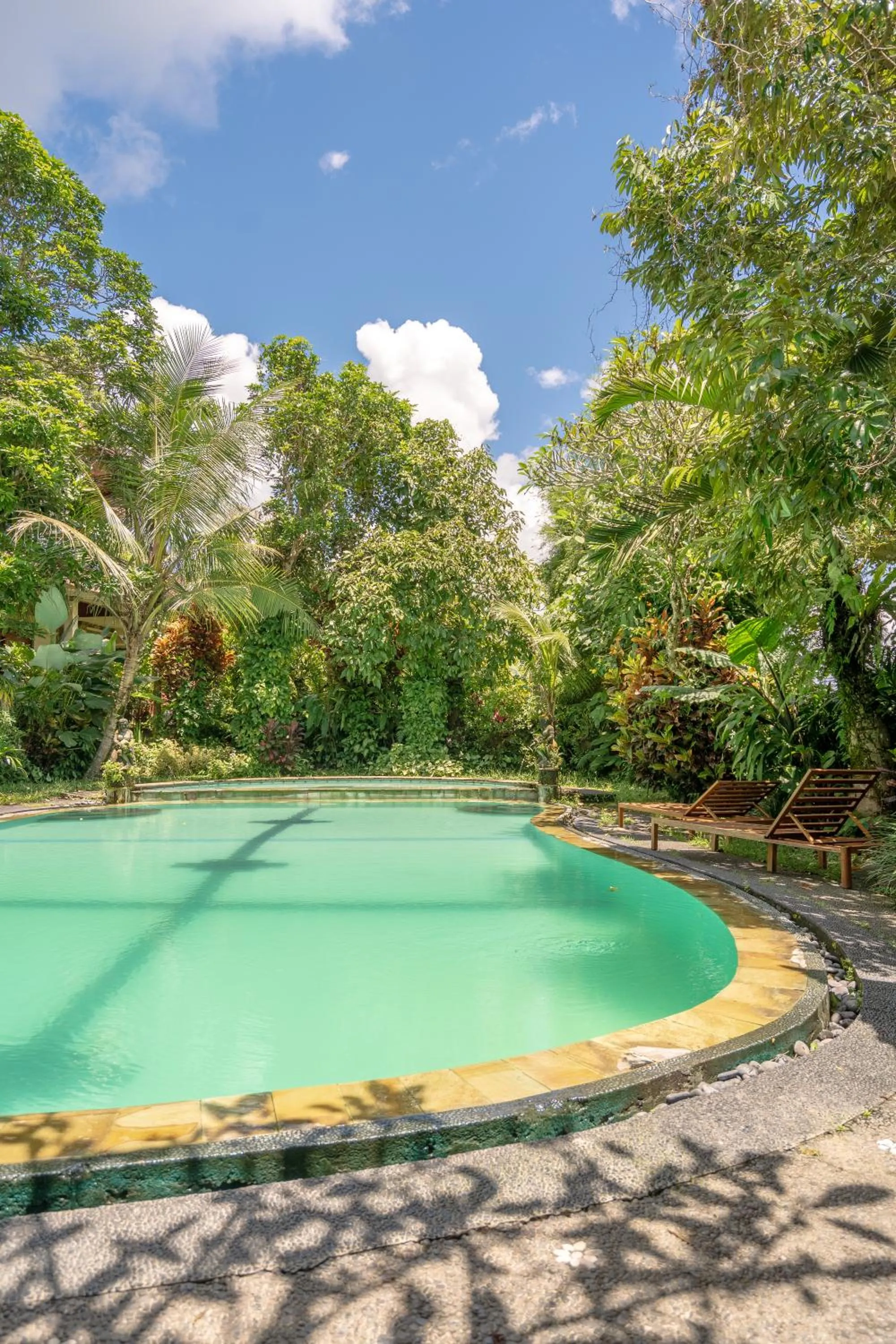 Swimming pool in Grün Ubud