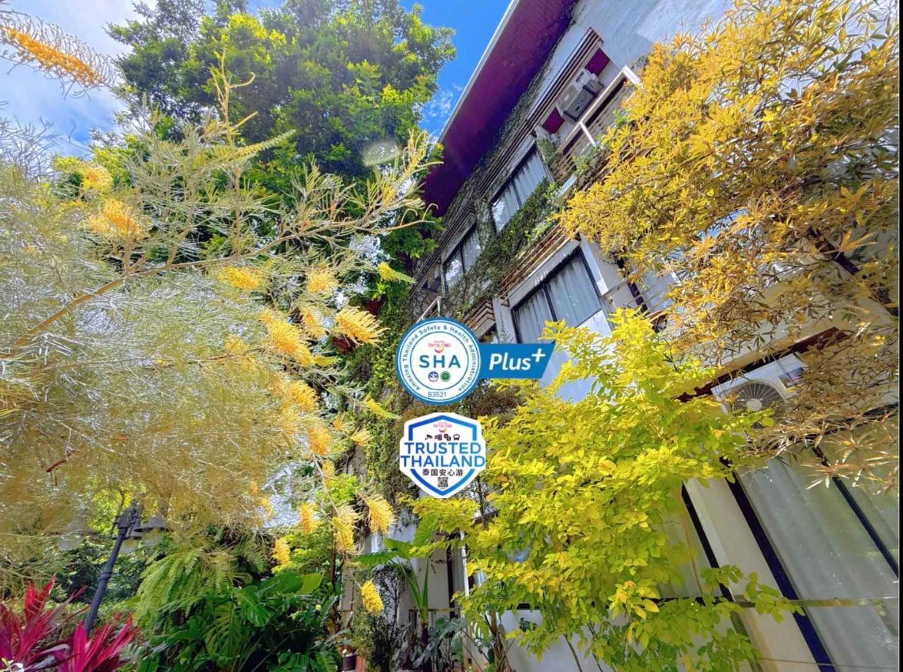 Property building in Ideo Phuket Hotel - Naiyang Beach