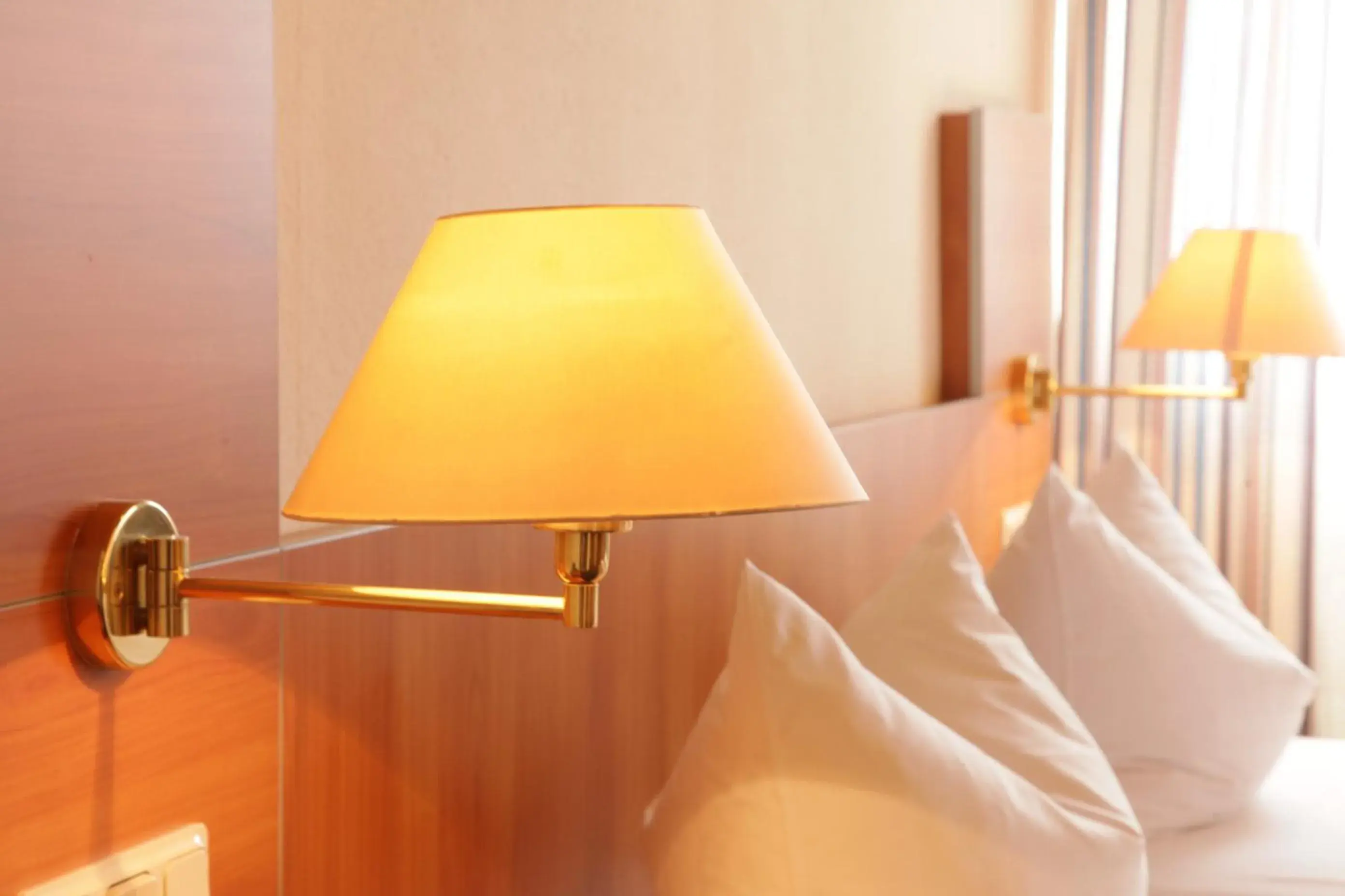 Single Room in Hotel-Restaurant Zum Kirschbaum Single Room in Hotel-Restaurant Zum Kirschbaum