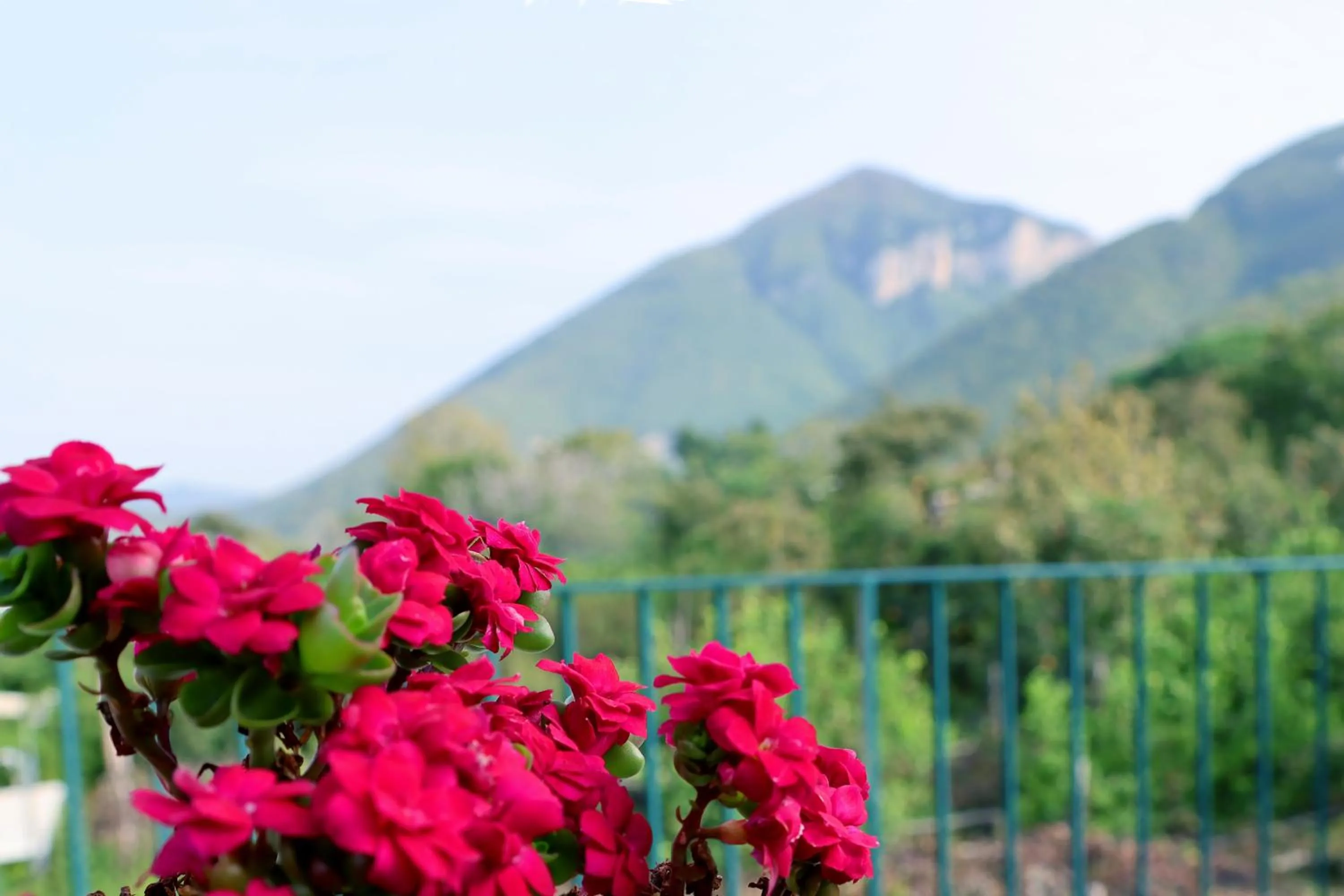 Day in Casa Fifina Rooms