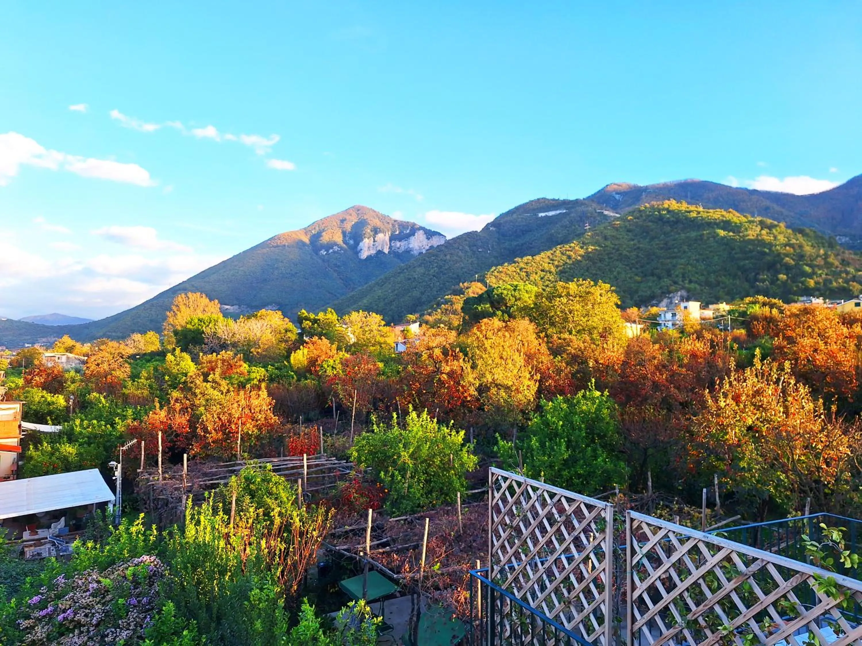 Day in Casa Fifina Rooms