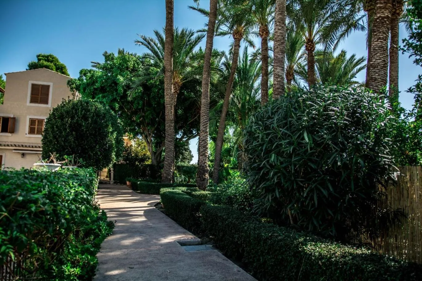 Garden in Hotel Torre San Juan
