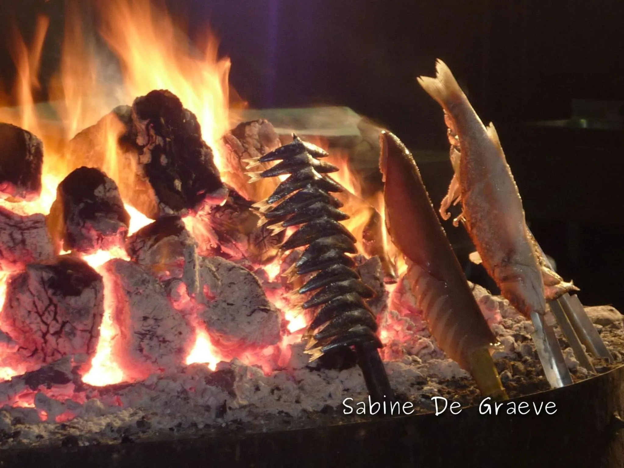 Property building in Ruselo-R706