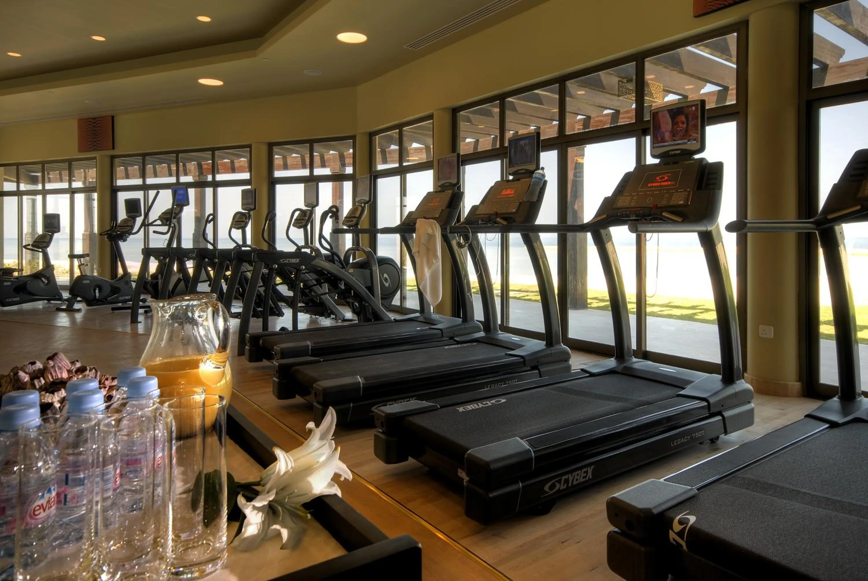 Fitness centre/facilities in Anantara Desert Islands Resort & Spa