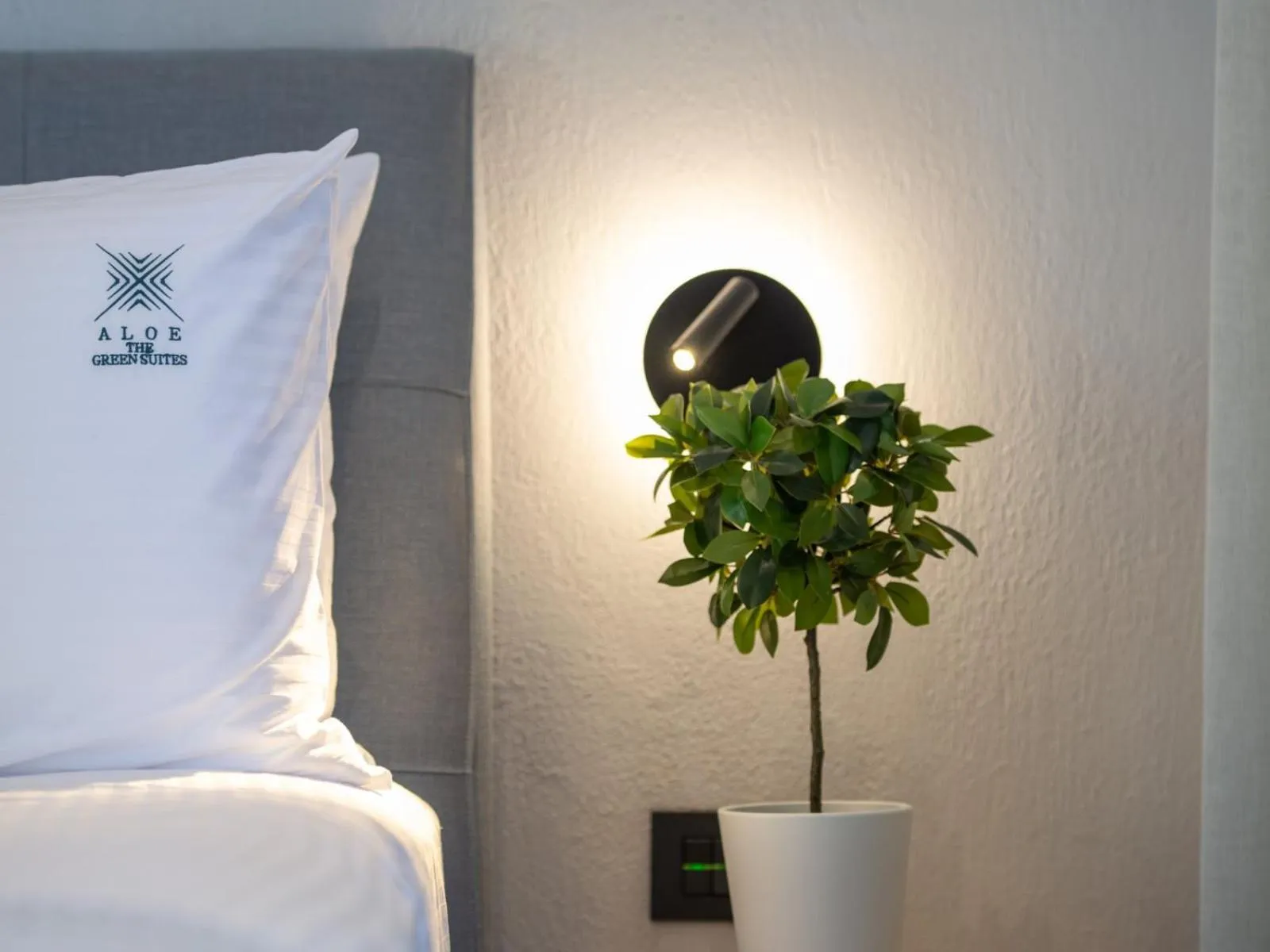 Bed in Aloe The Green Suites - Nikiti Halkidiki