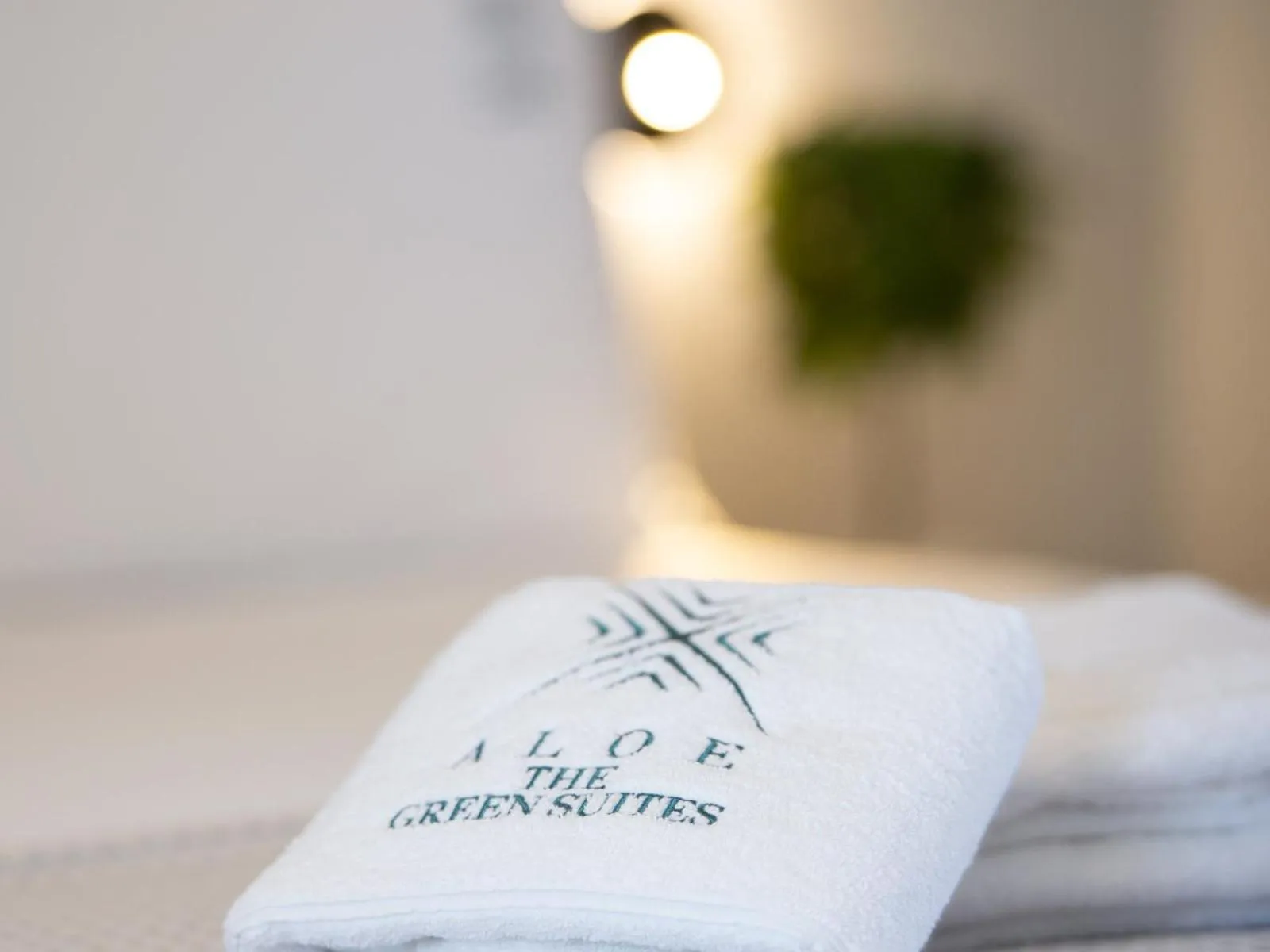 Photo of the whole room in Aloe The Green Suites - Nikiti Halkidiki