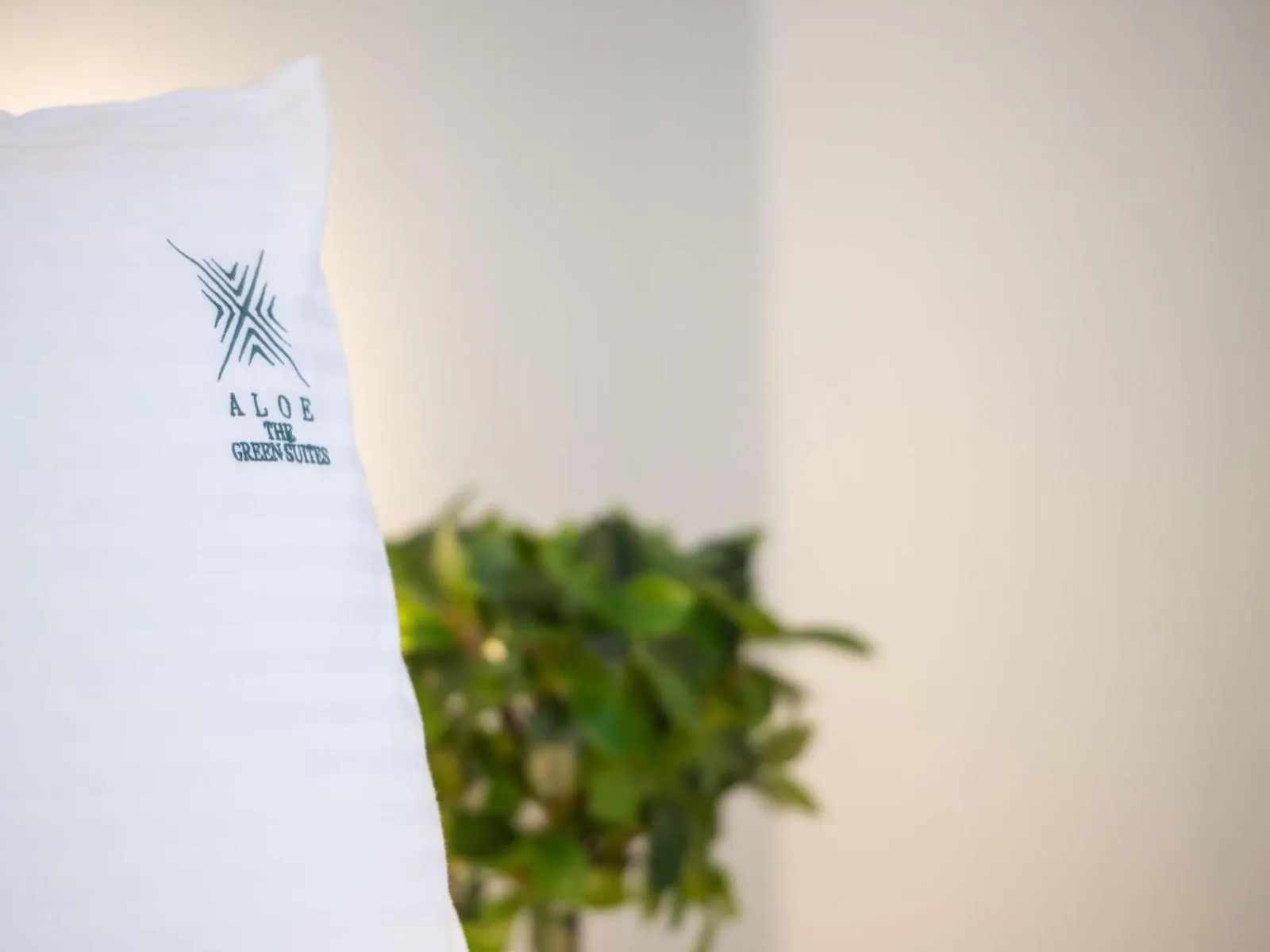 Decorative detail in Aloe The Green Suites - Nikiti Halkidiki