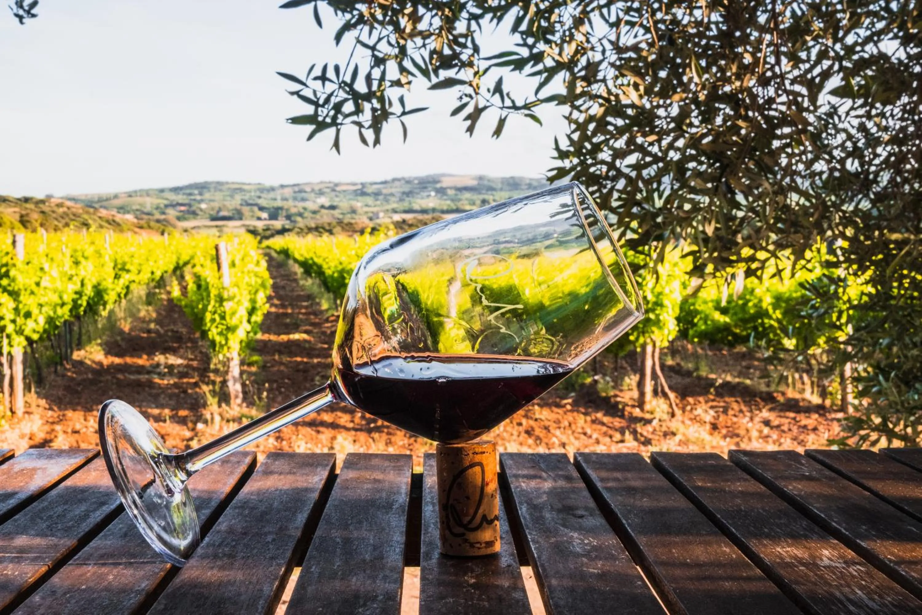 Garden in Funtana'e Mari