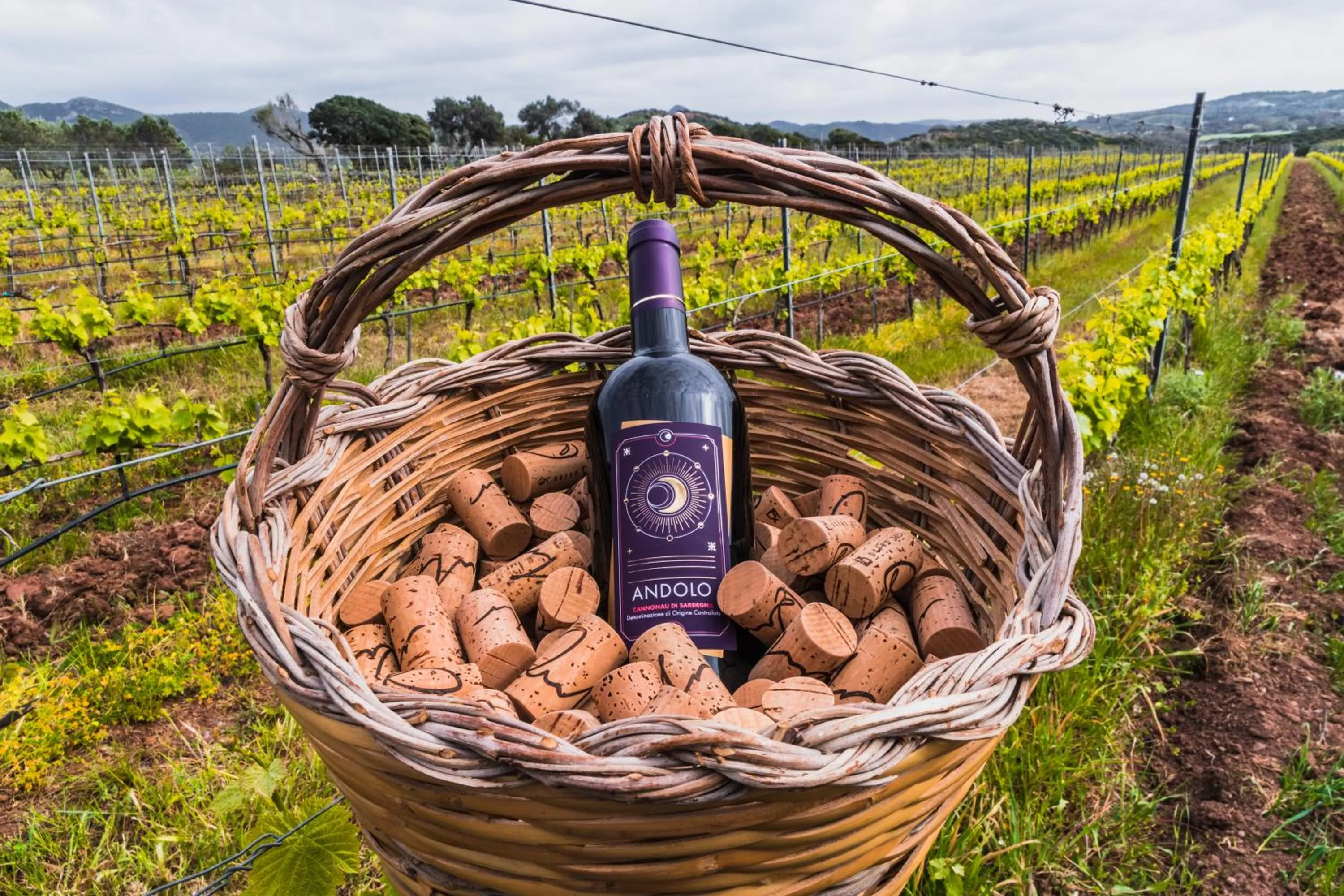 Garden in Funtana'e Mari