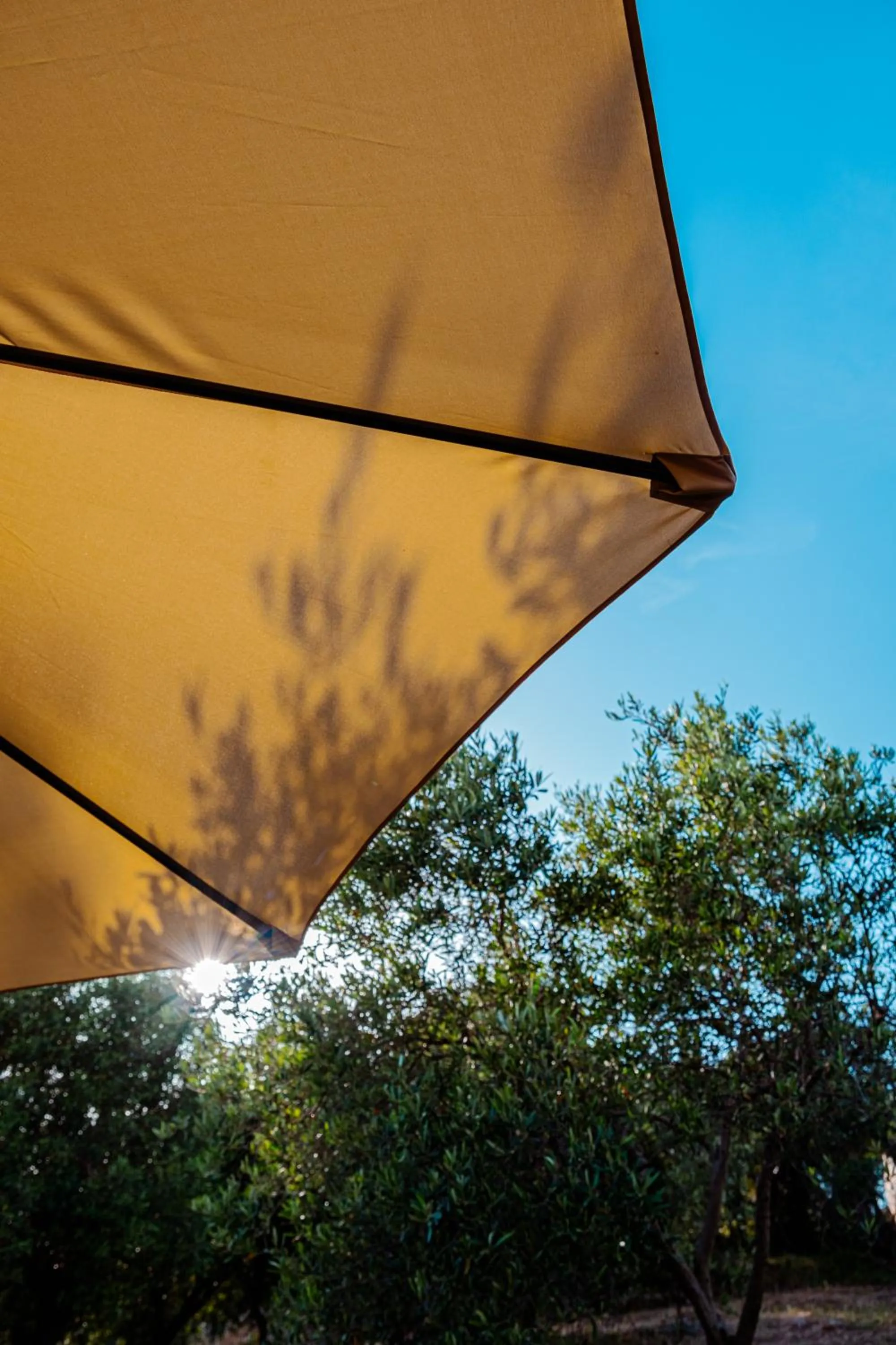 Garden in Funtana'e Mari