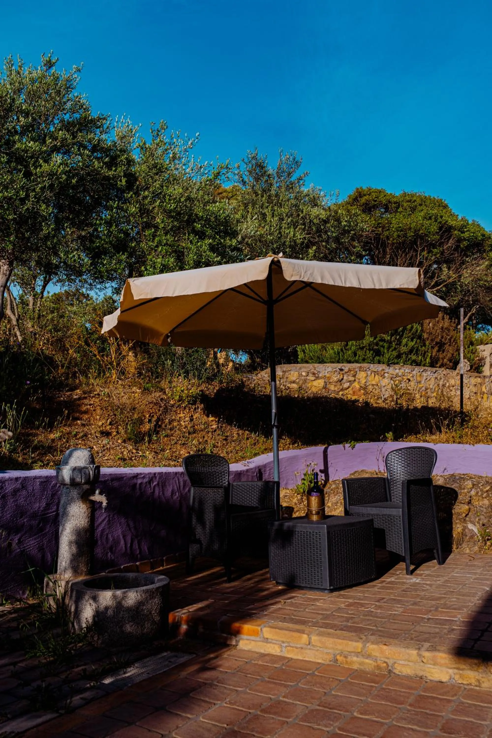 Garden in Funtana'e Mari