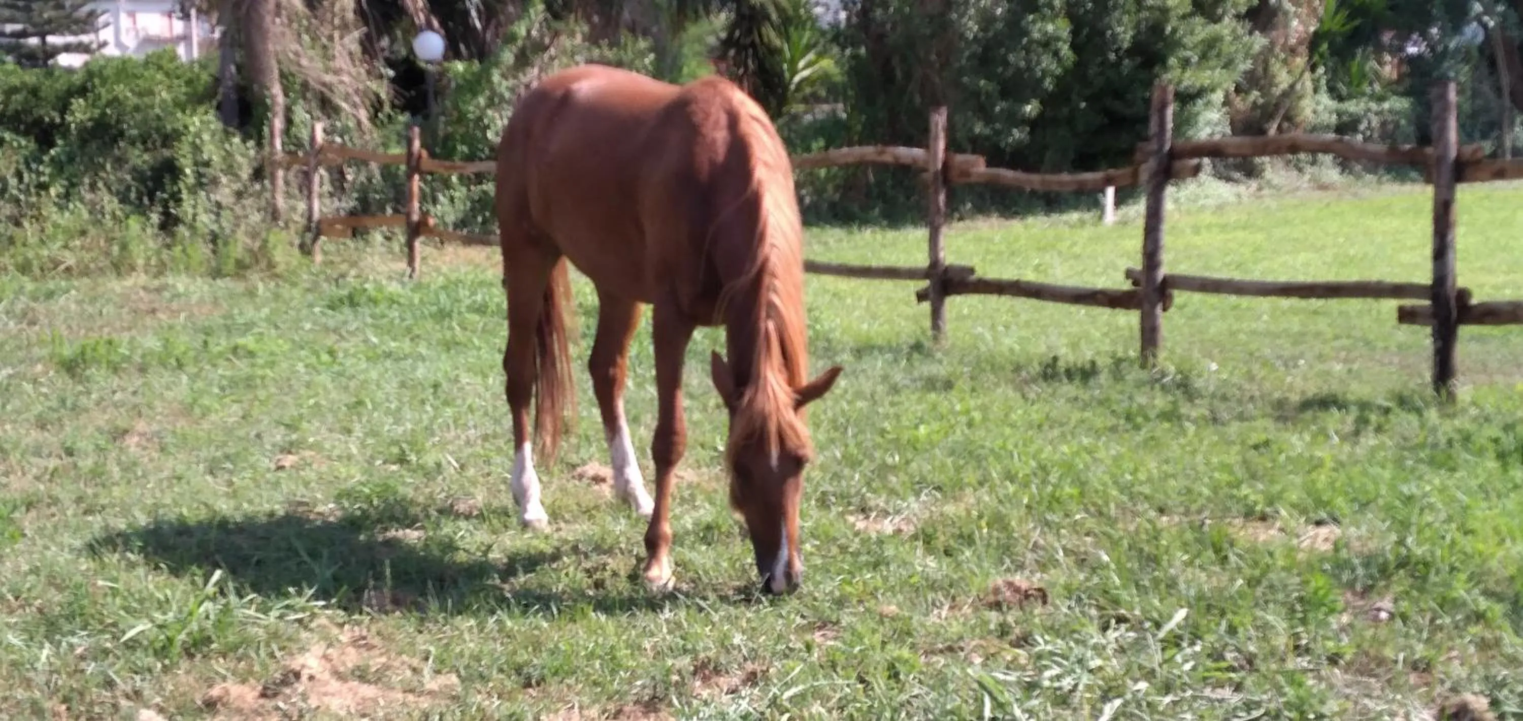 B&B Tenuta San Michele