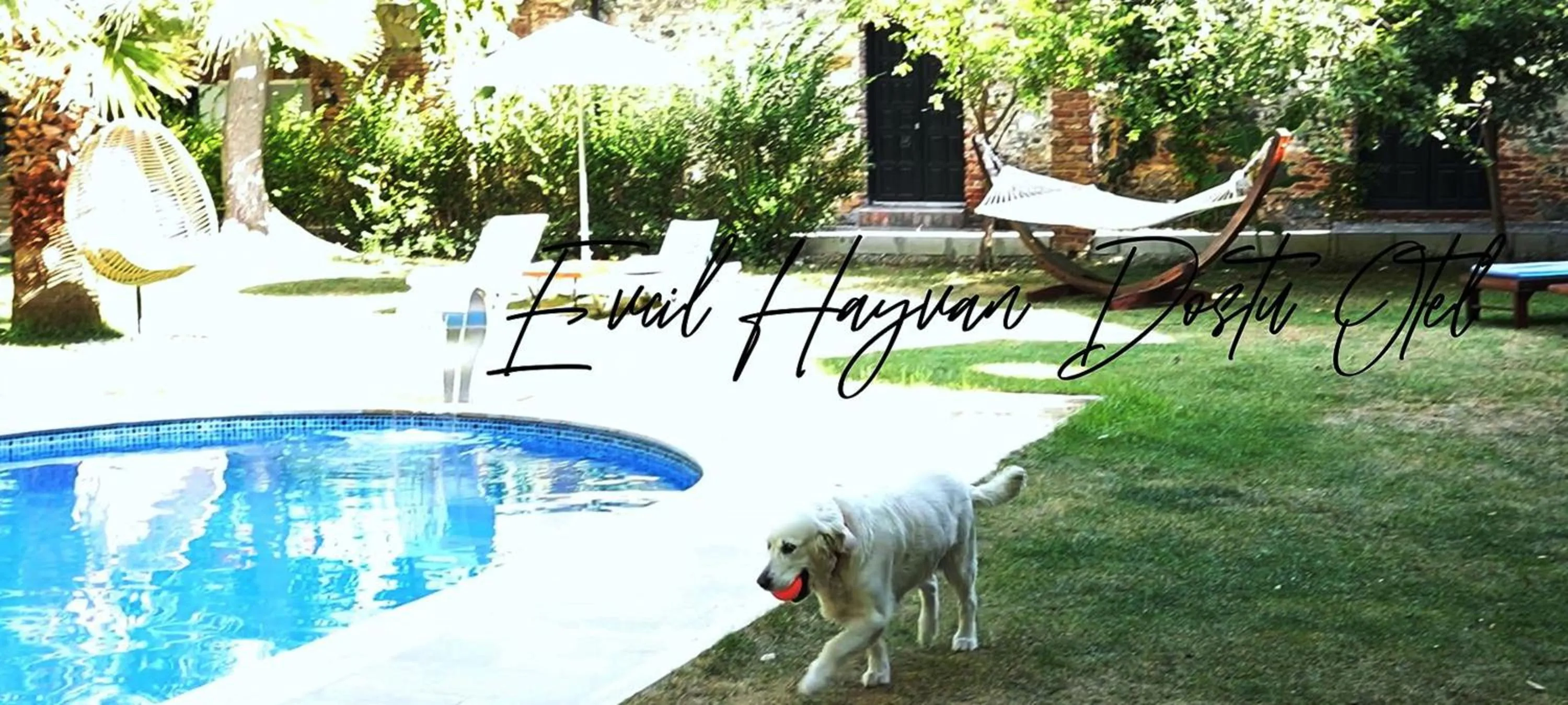 Pets in Manastırhan Otel Kazdağları