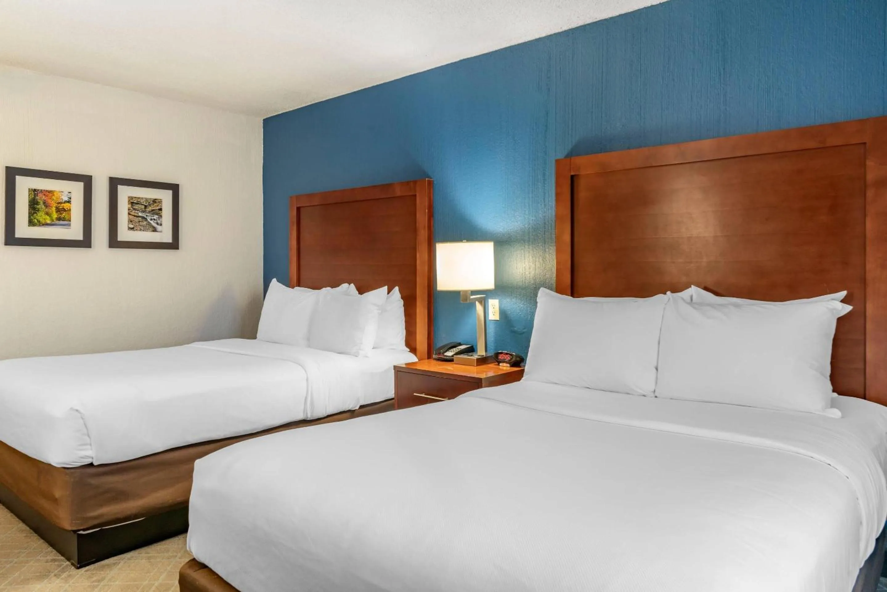 Bedroom, Bed in Comfort Inn University