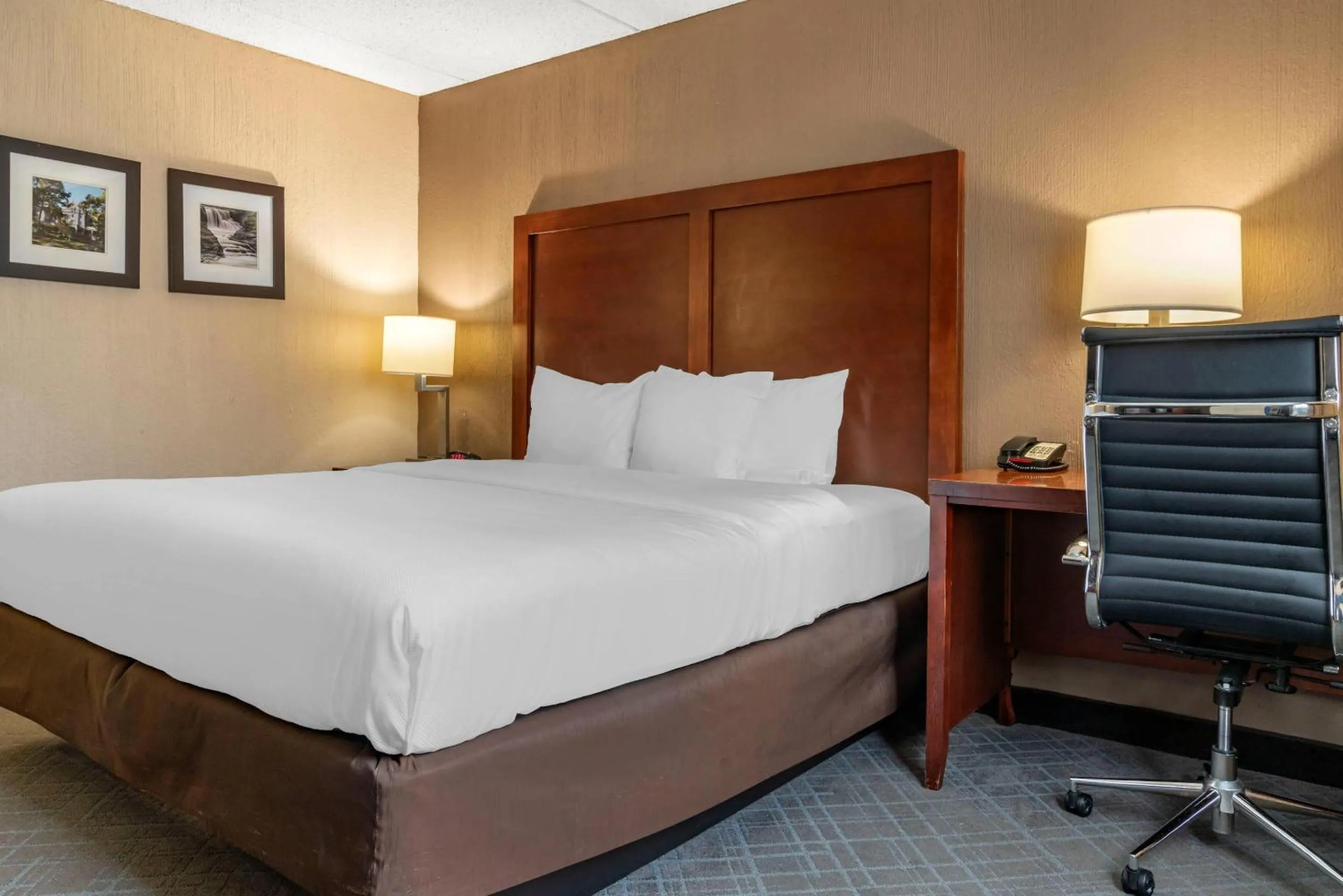 Bedroom, Bed in Comfort Inn University