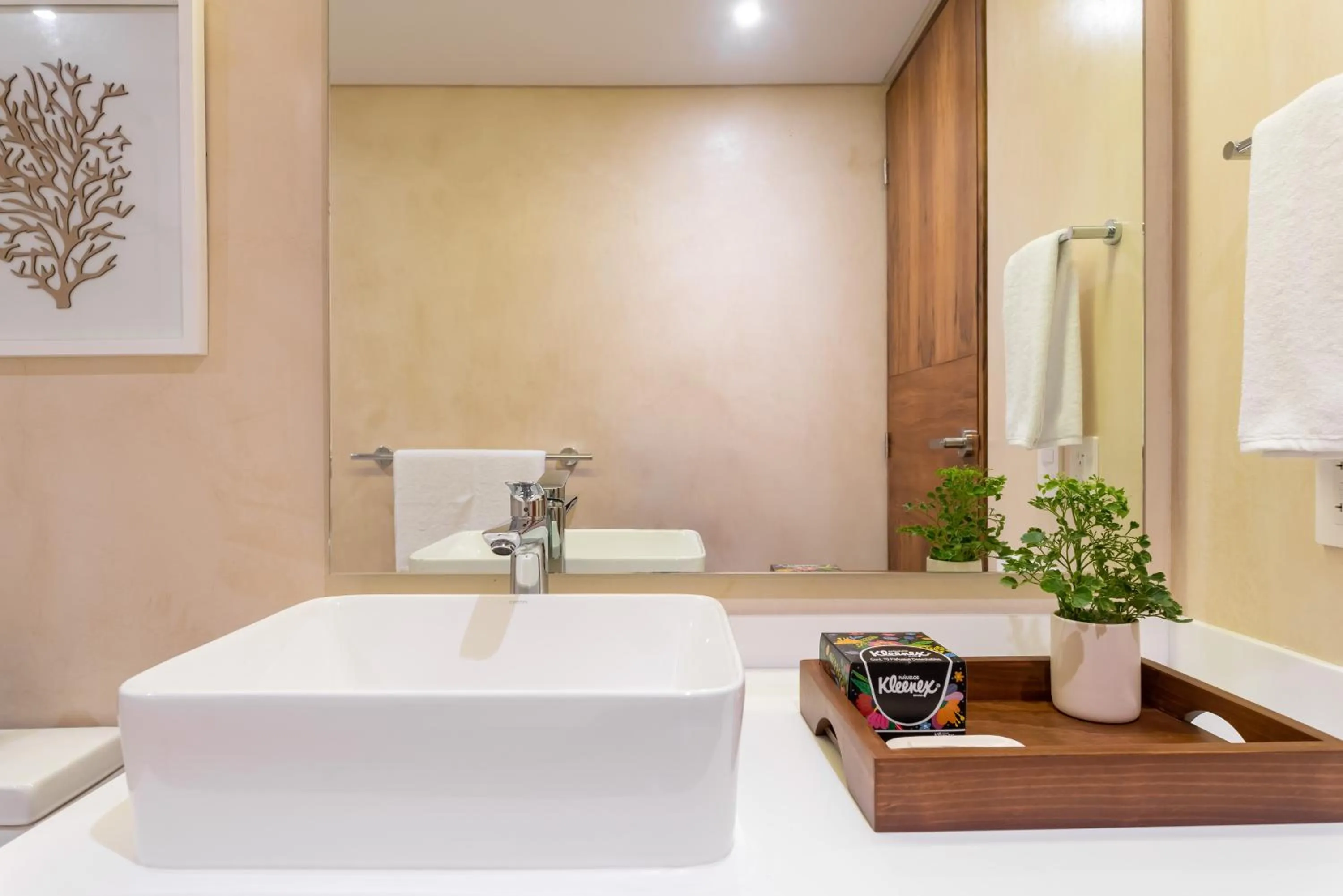 Bathroom in Central Park Lagunas by Sandy Powerful