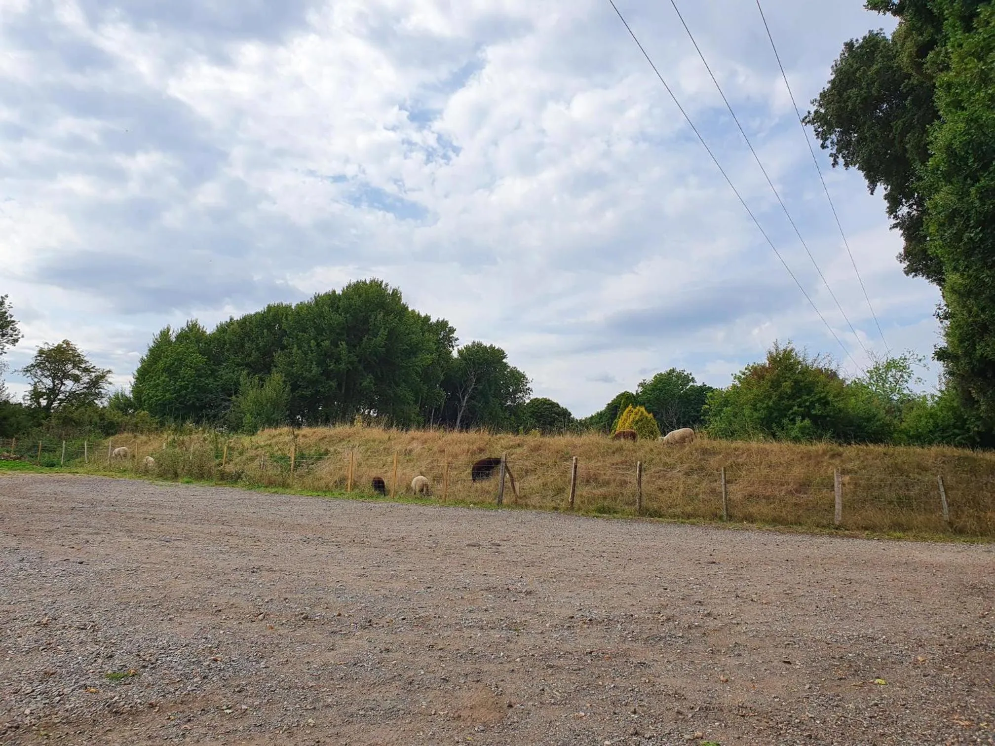 Parking in Glyndley Manor Cottages