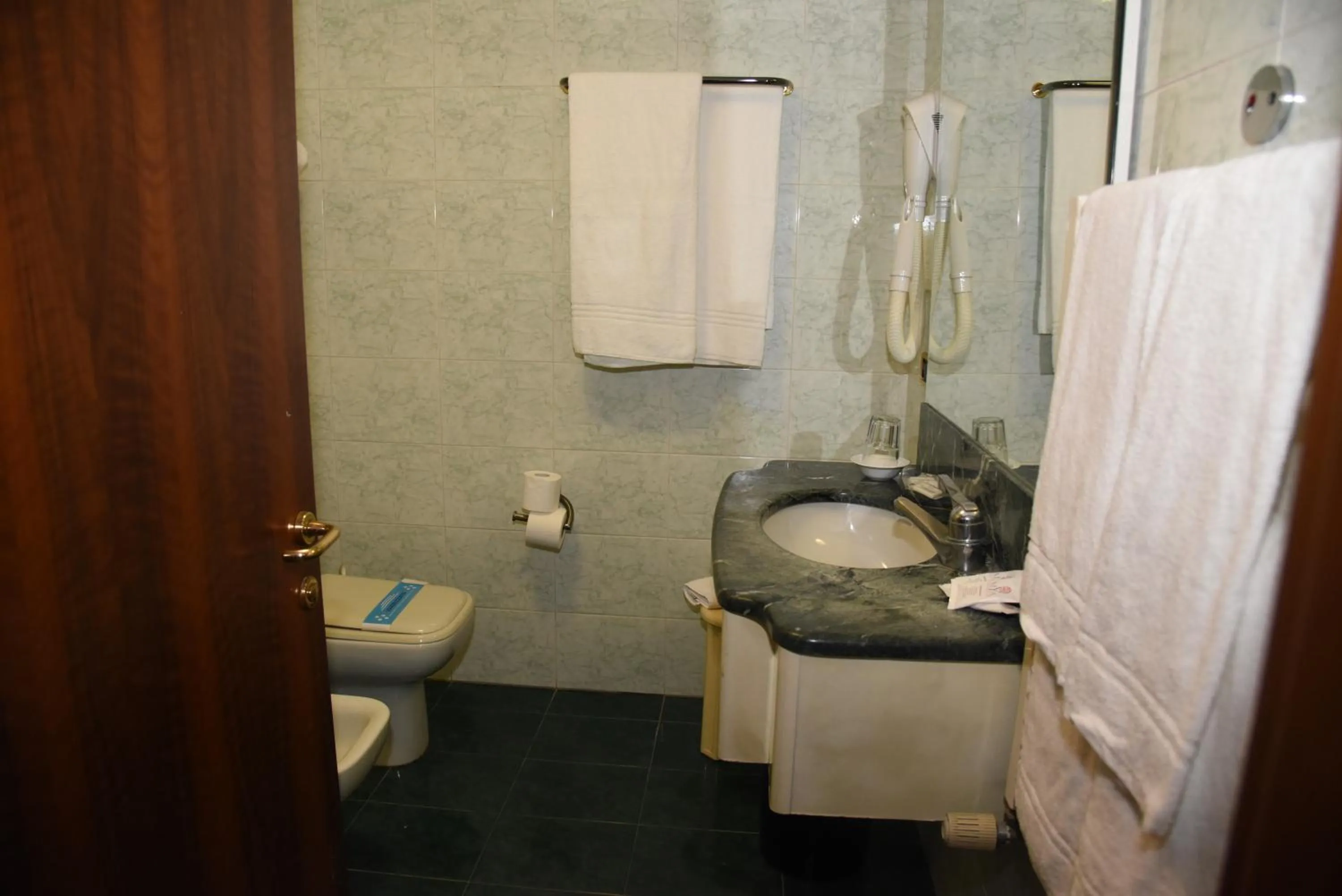 Toilet in HOTEL DUCA D'AOSTA