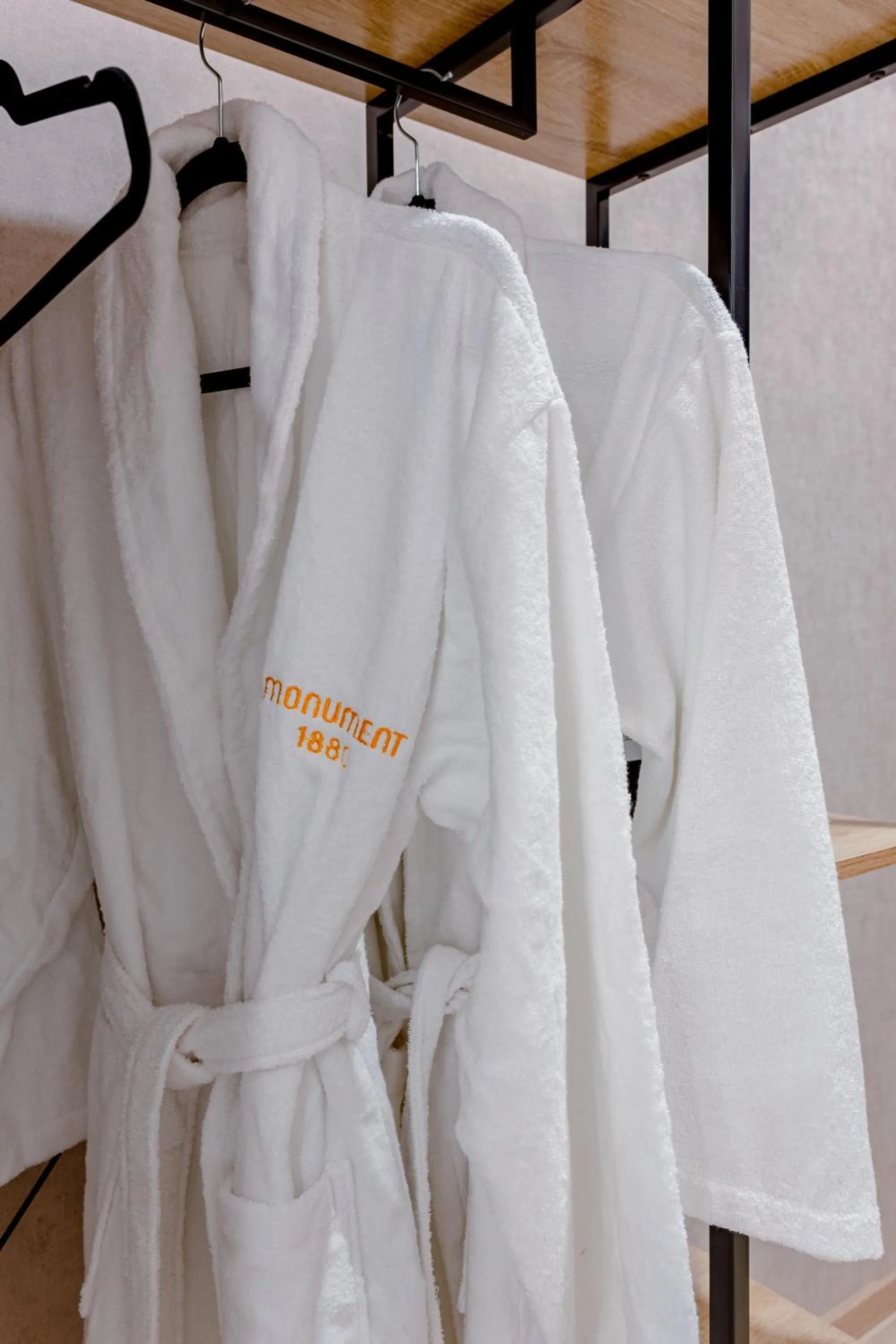 wardrobe in Monument1880