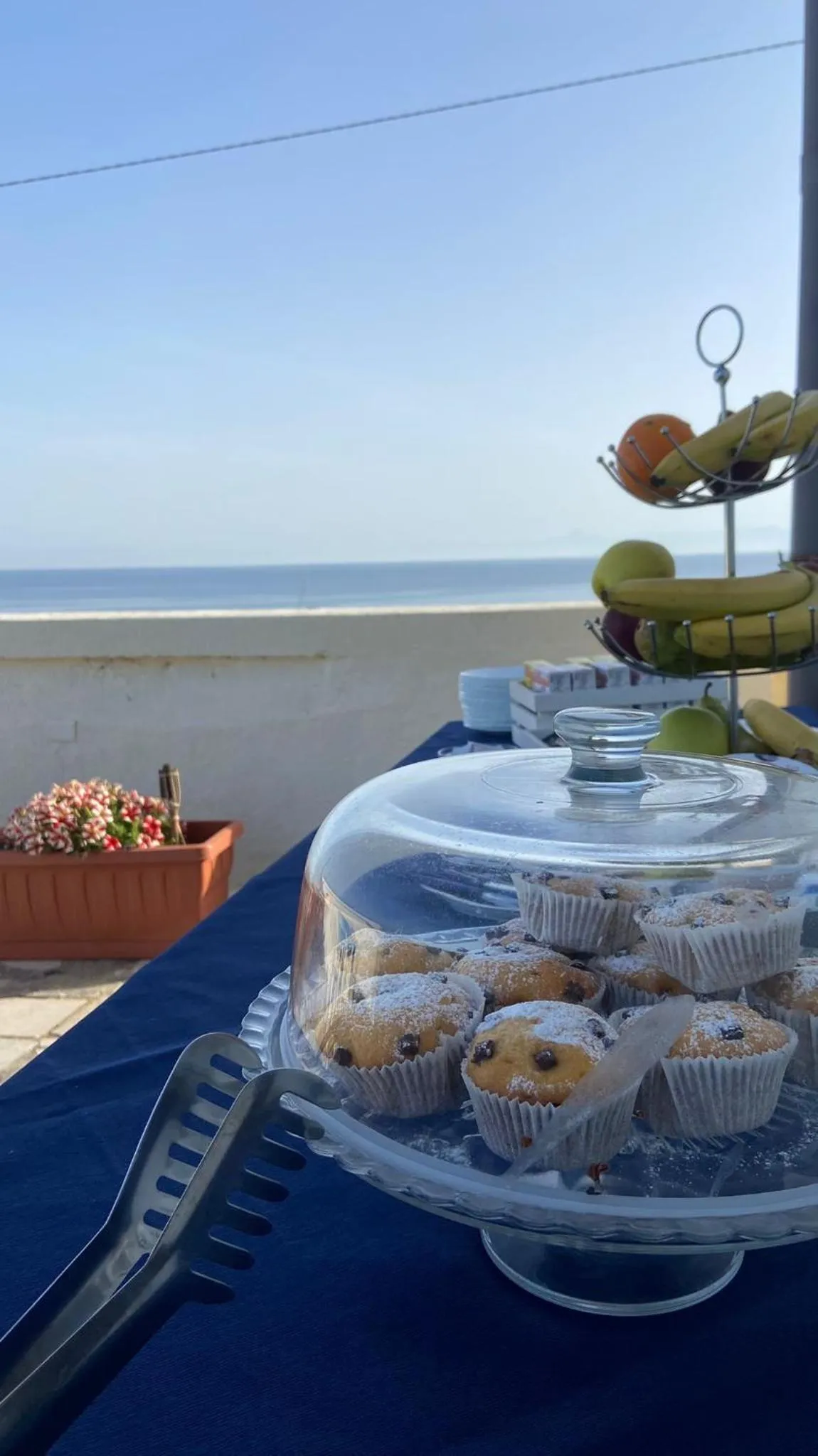 Food and drinks in B&B Laudato Sii Tropea